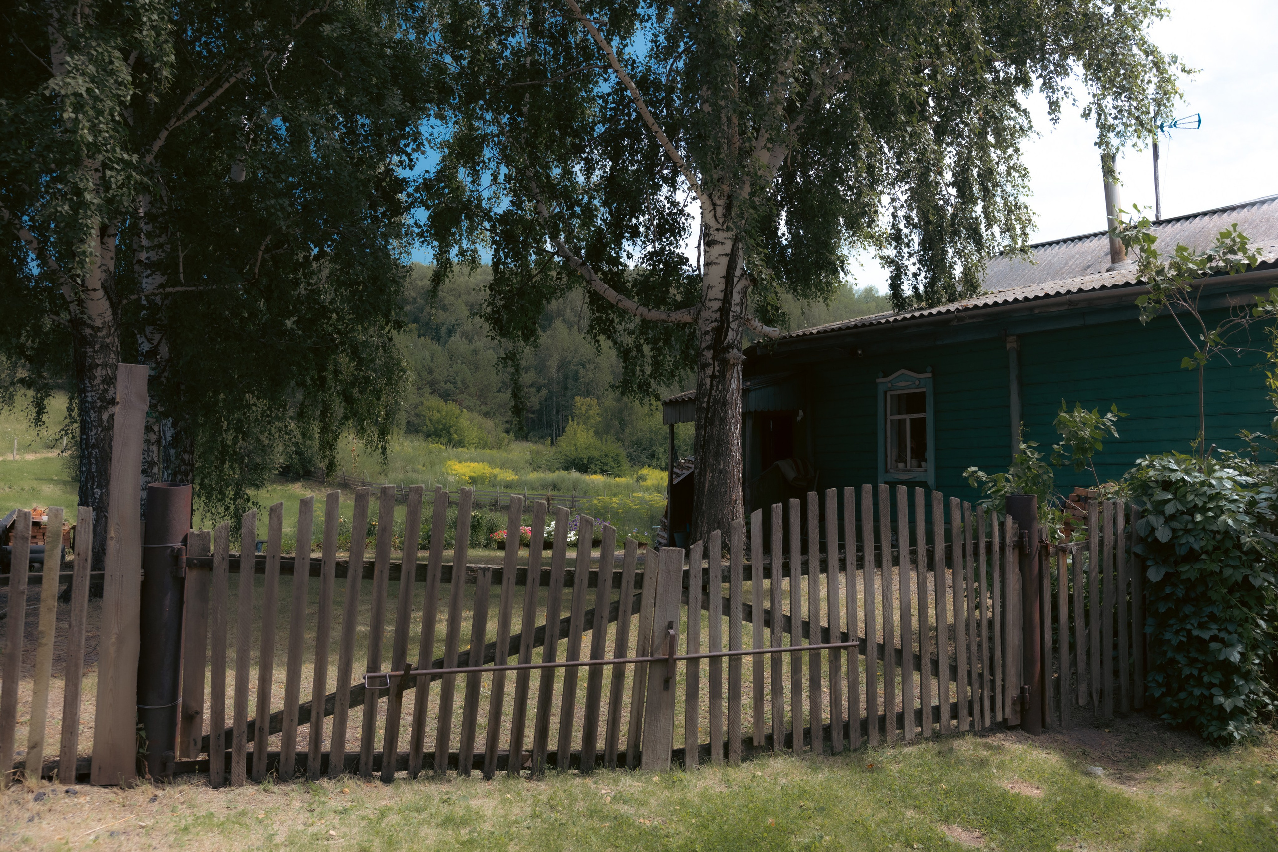 Шукшинские дни на Алтае