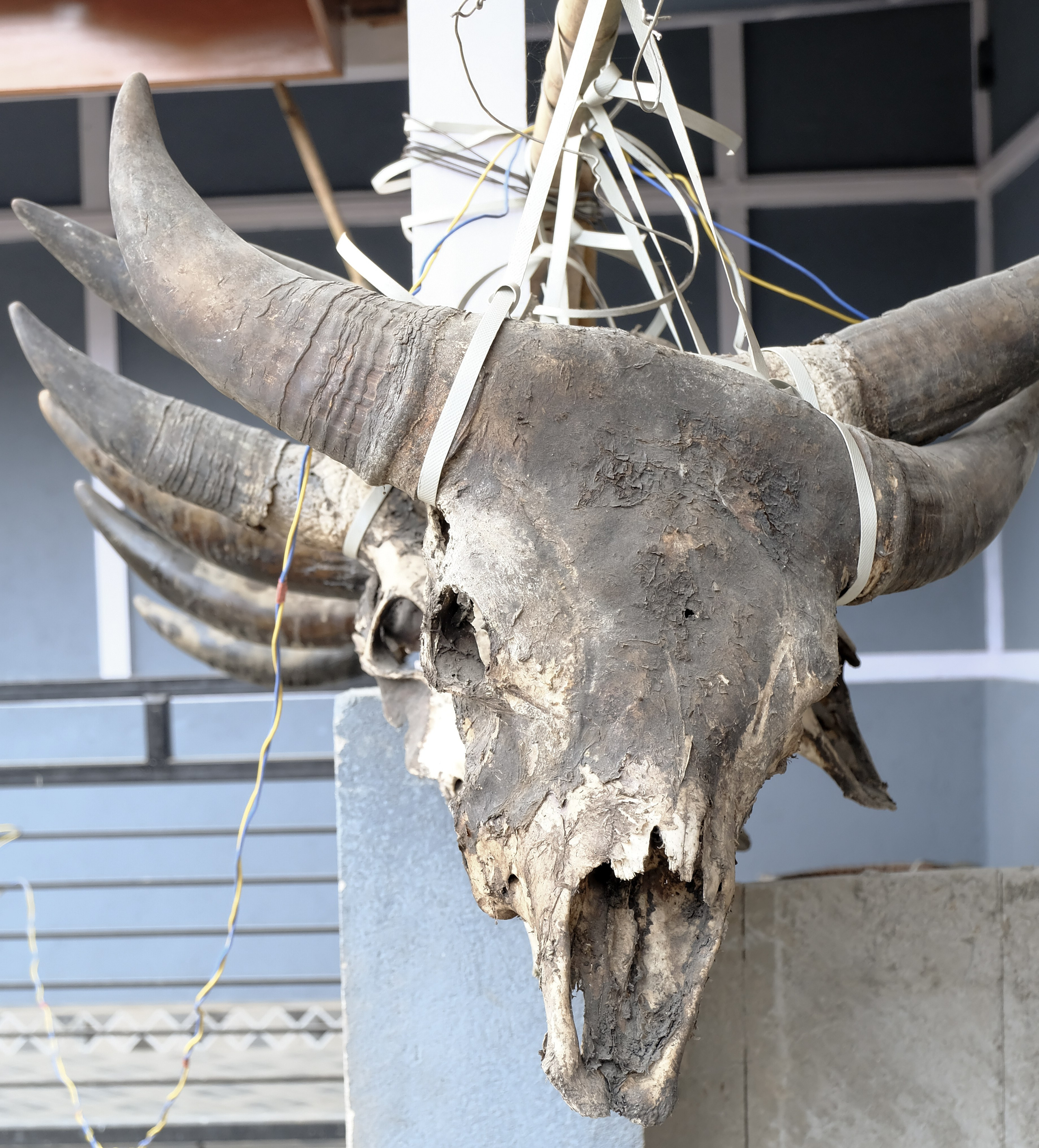 Жертвоприношение. Фотографии из путешествий