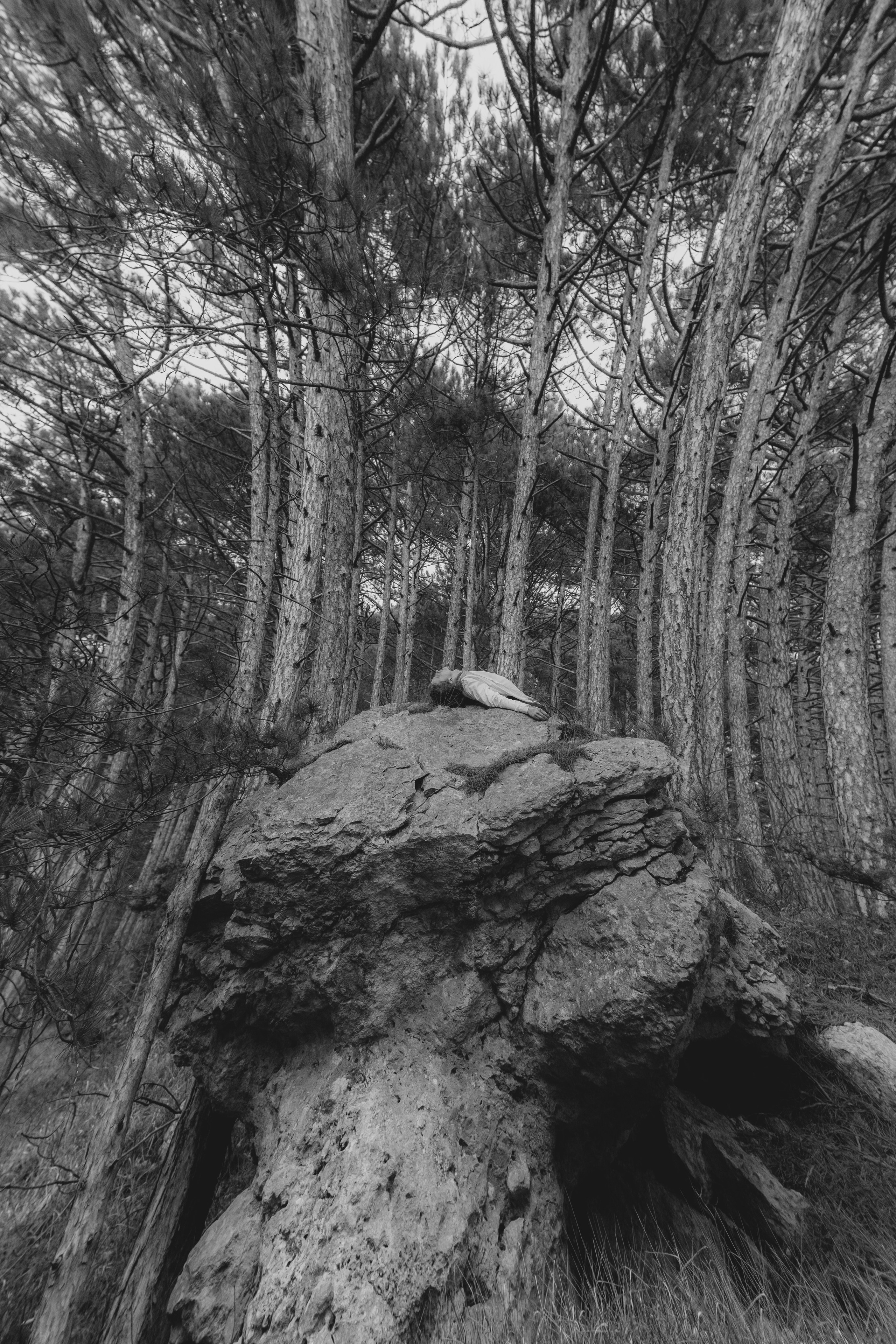 Артём. Фотограф, видеограф в Санкт-Петербурге