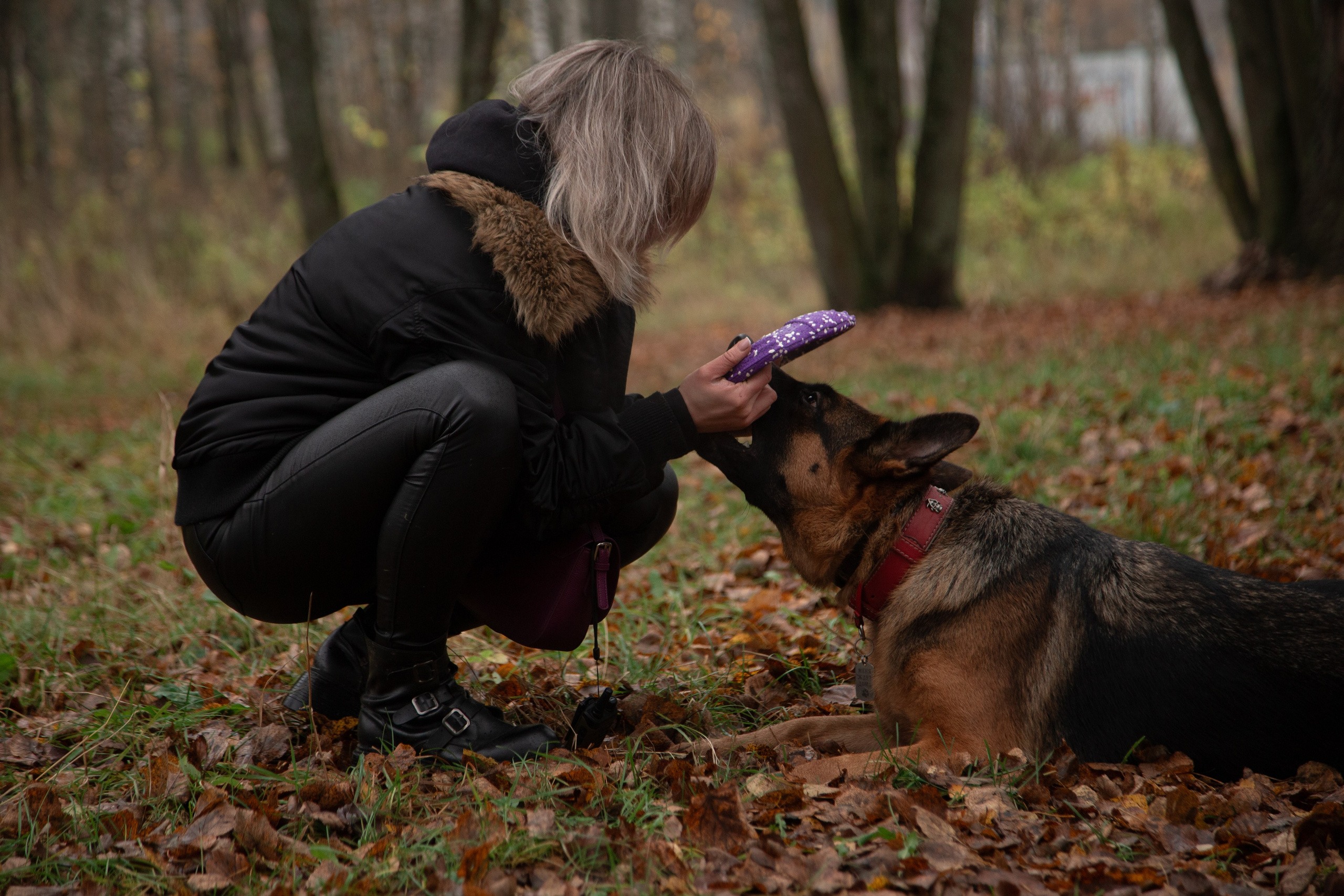 Съемка питомцев. ГЛАЗА РАЗБЕГАЮТСЯ