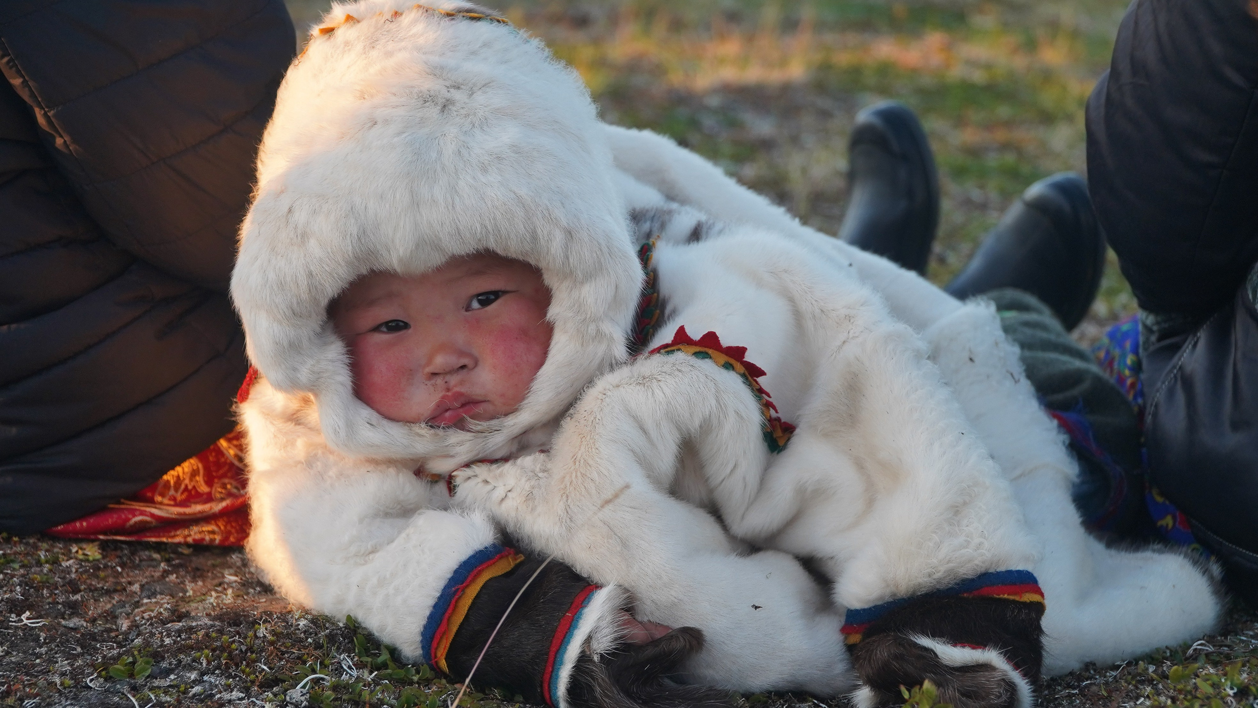Амдерма — наука (2020 г.). Фотоальбом показывающий увлекательный мир авиации и мир медведей Андрея Иванова