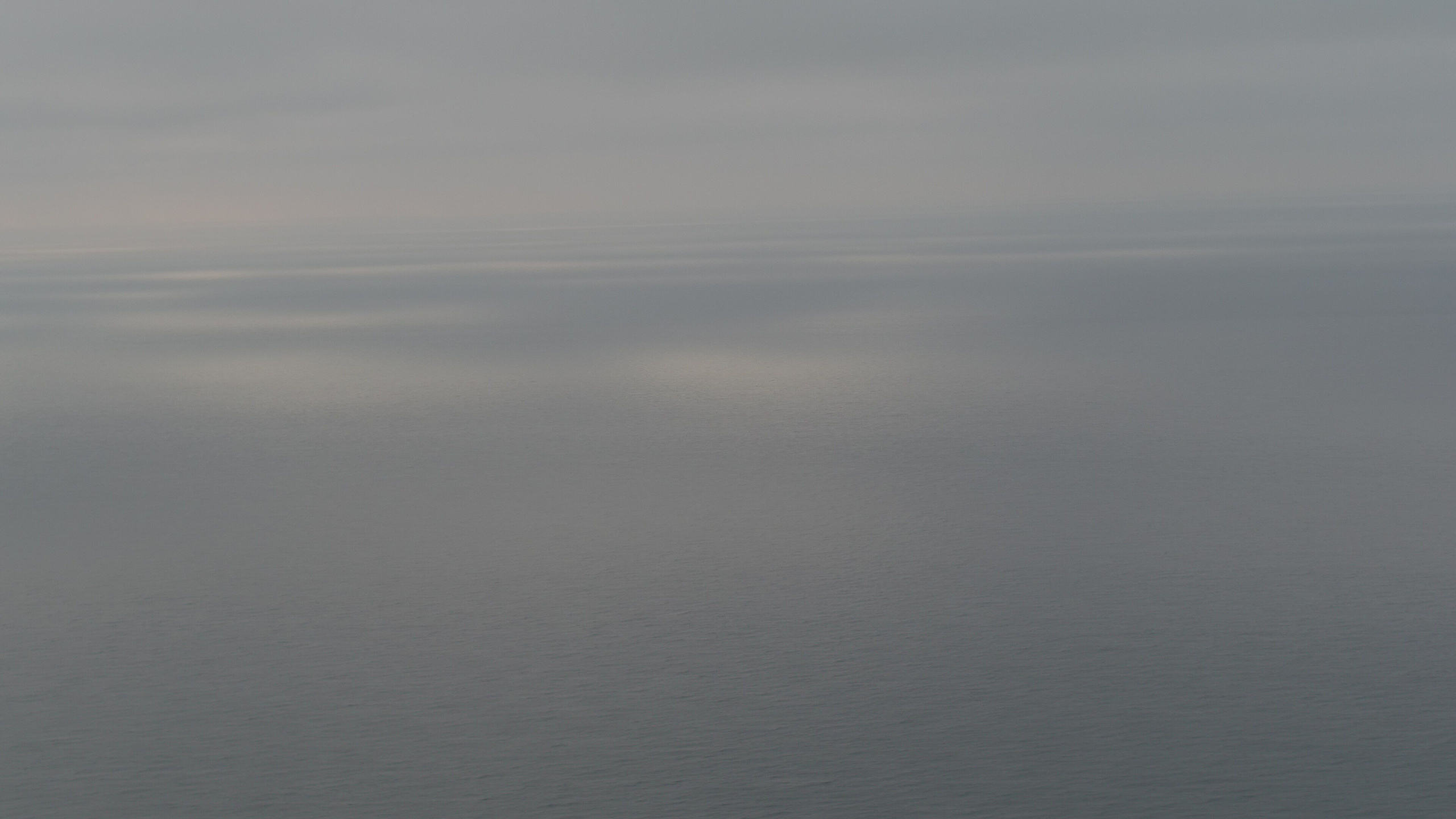 Амдерма — наука (2020 г.). Фотоальбом показывающий увлекательный мир авиации и мир медведей Андрея Иванова