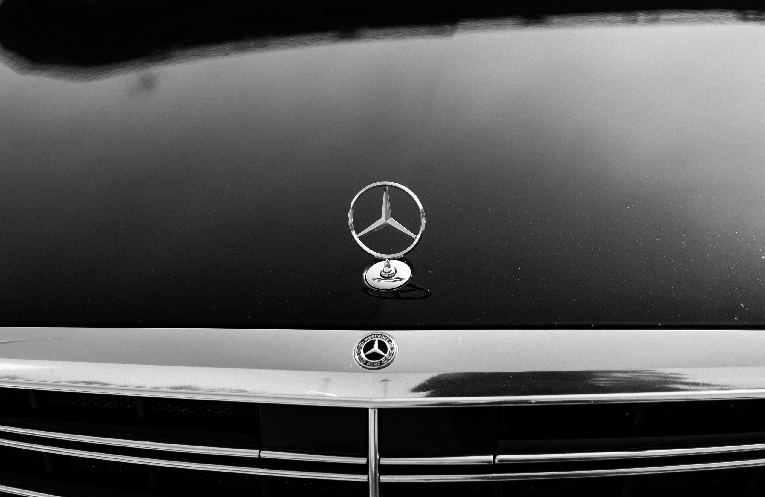 Даниил & Кристина | 20.08.25. Свадебный и семейный фотограф в Омске Евгения Хакимова