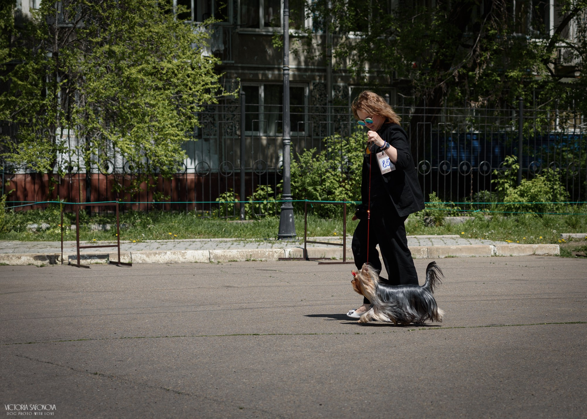 24–25 мая 2025. Благовещенск. Фотограф анималист Благовещенск. Сафонова Виктория