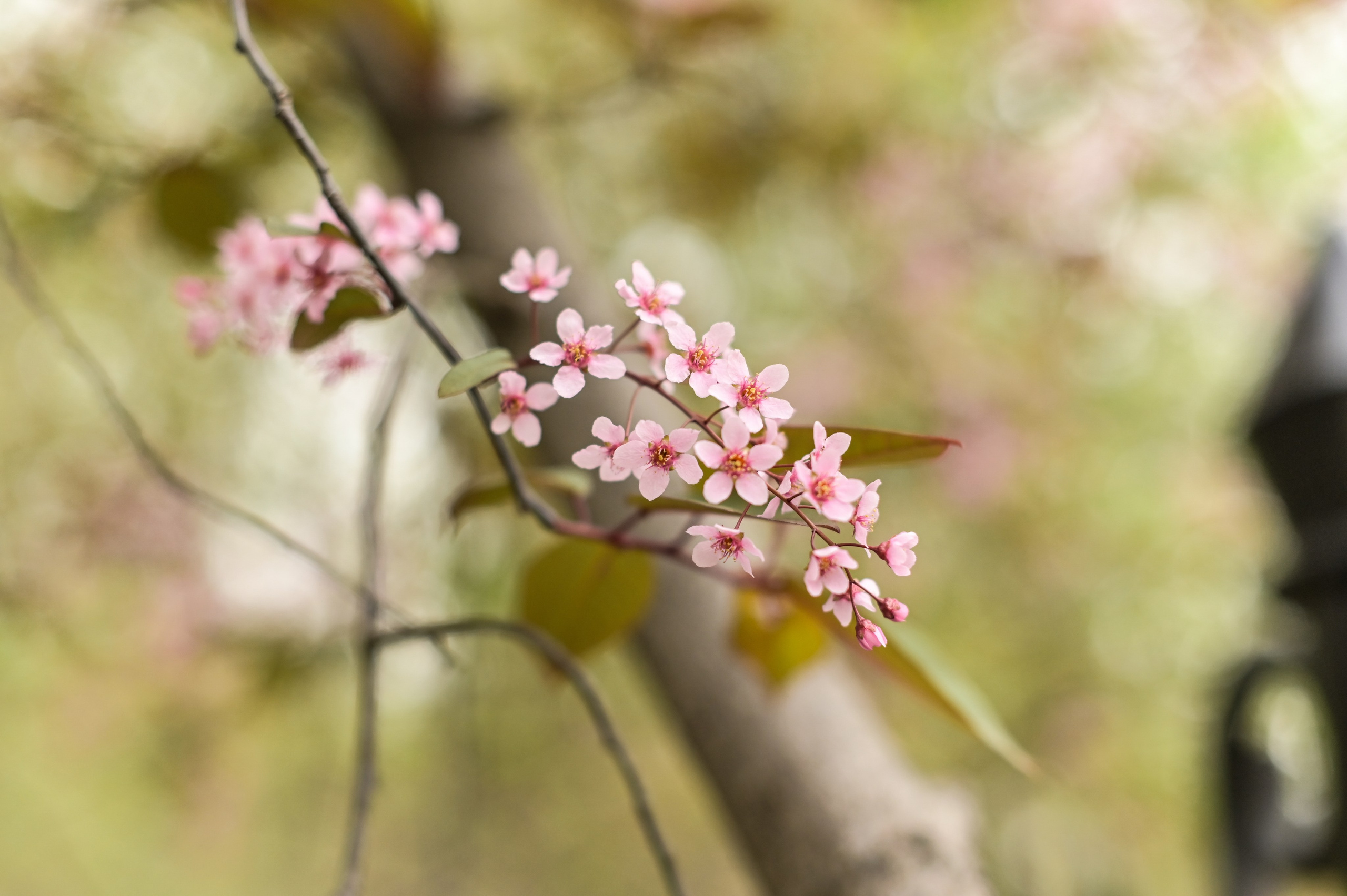 Занятие с кинологом. Семейный и репортажный фотограф в Москве Анастасия Трубкина