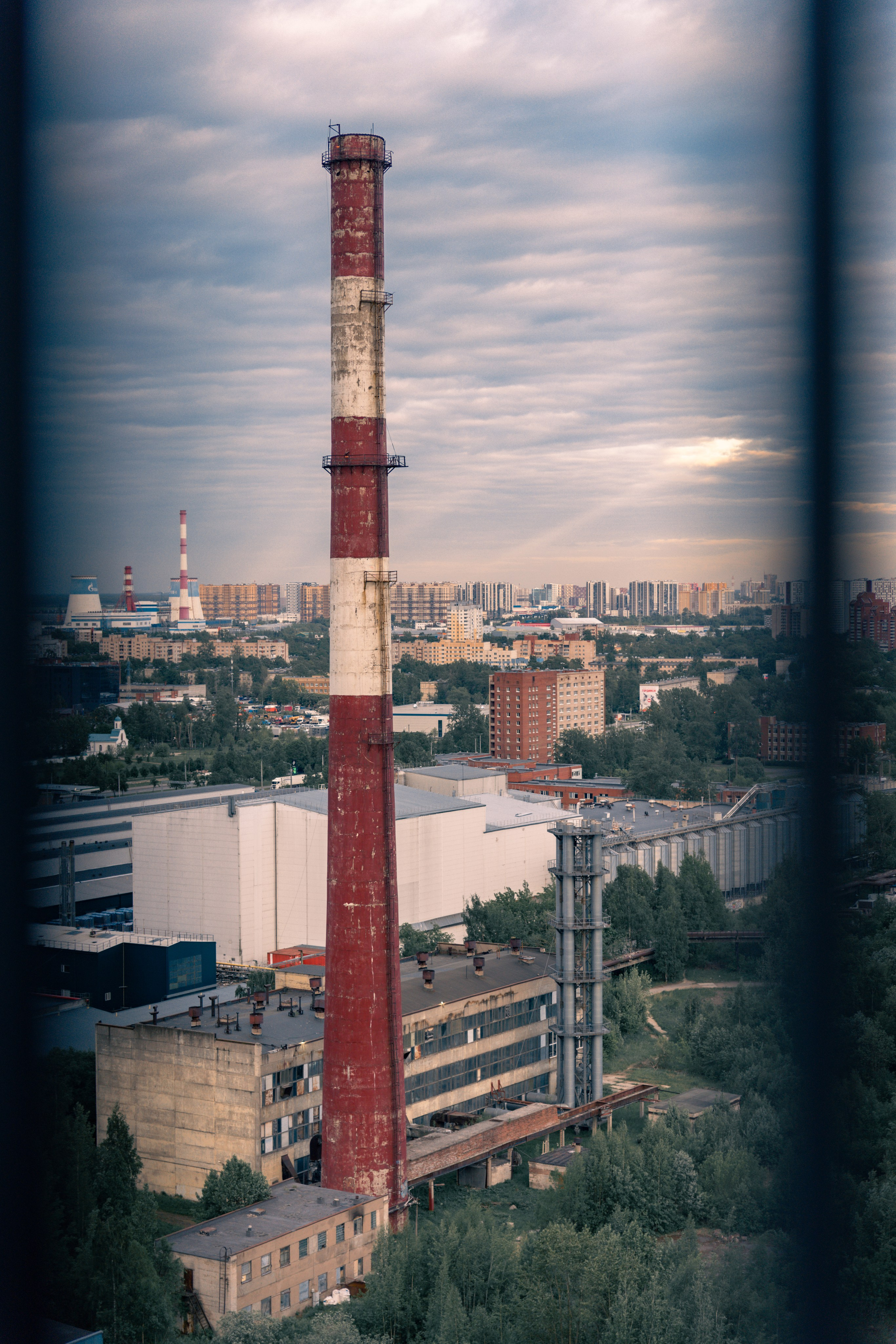 Из наблюдений. Плак или Квак