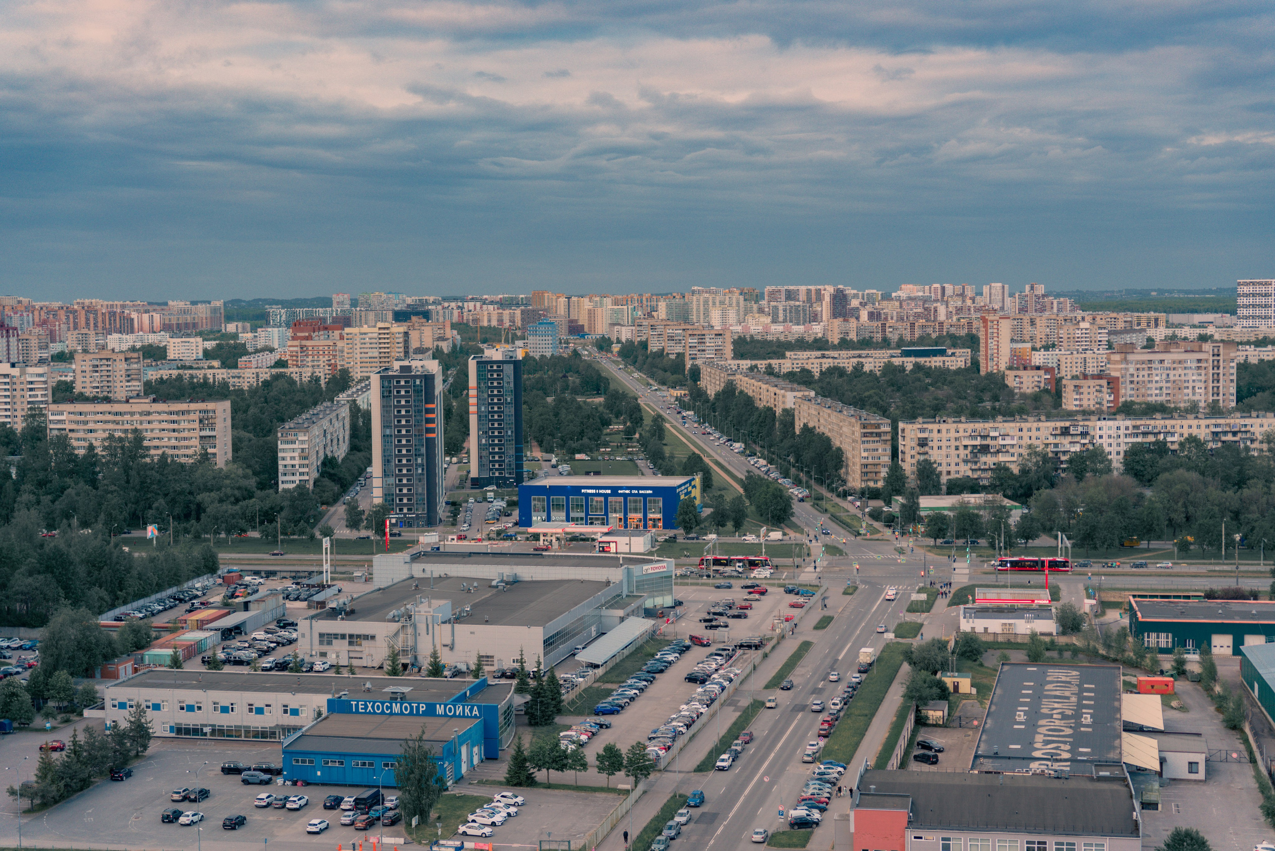 Из наблюдений. Плак или Квак