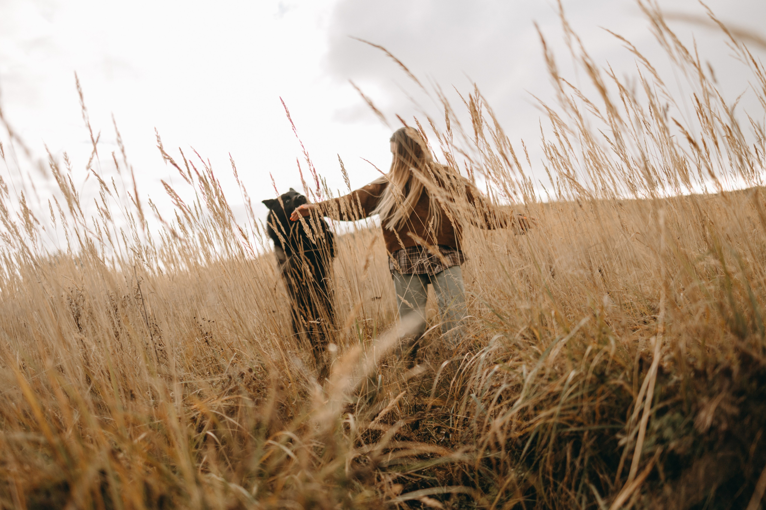 Лора и Джанго. Фотограф — Анималист | Санкт-Петербург