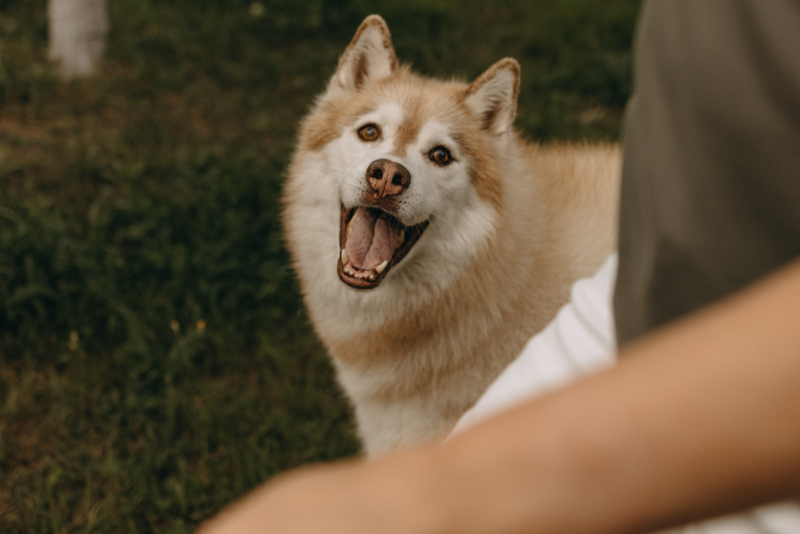 Дом у реки. Фотограф — Анималист | Санкт-Петербург