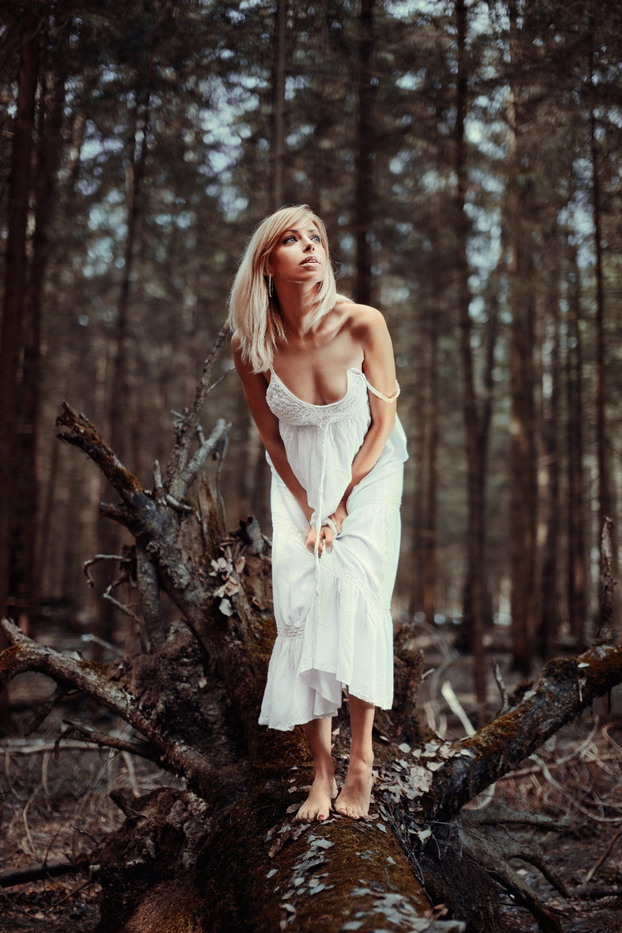 Арт-фото. Михаил Данилов | Фотограф