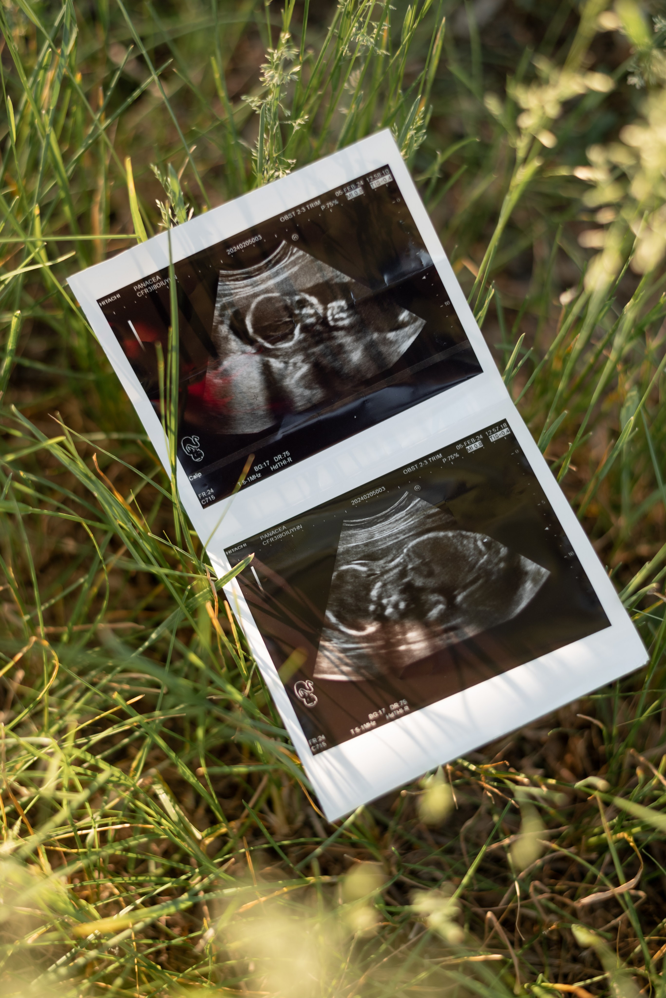 Настя и Никита. Семейный фотограф Ирина Сгибнева