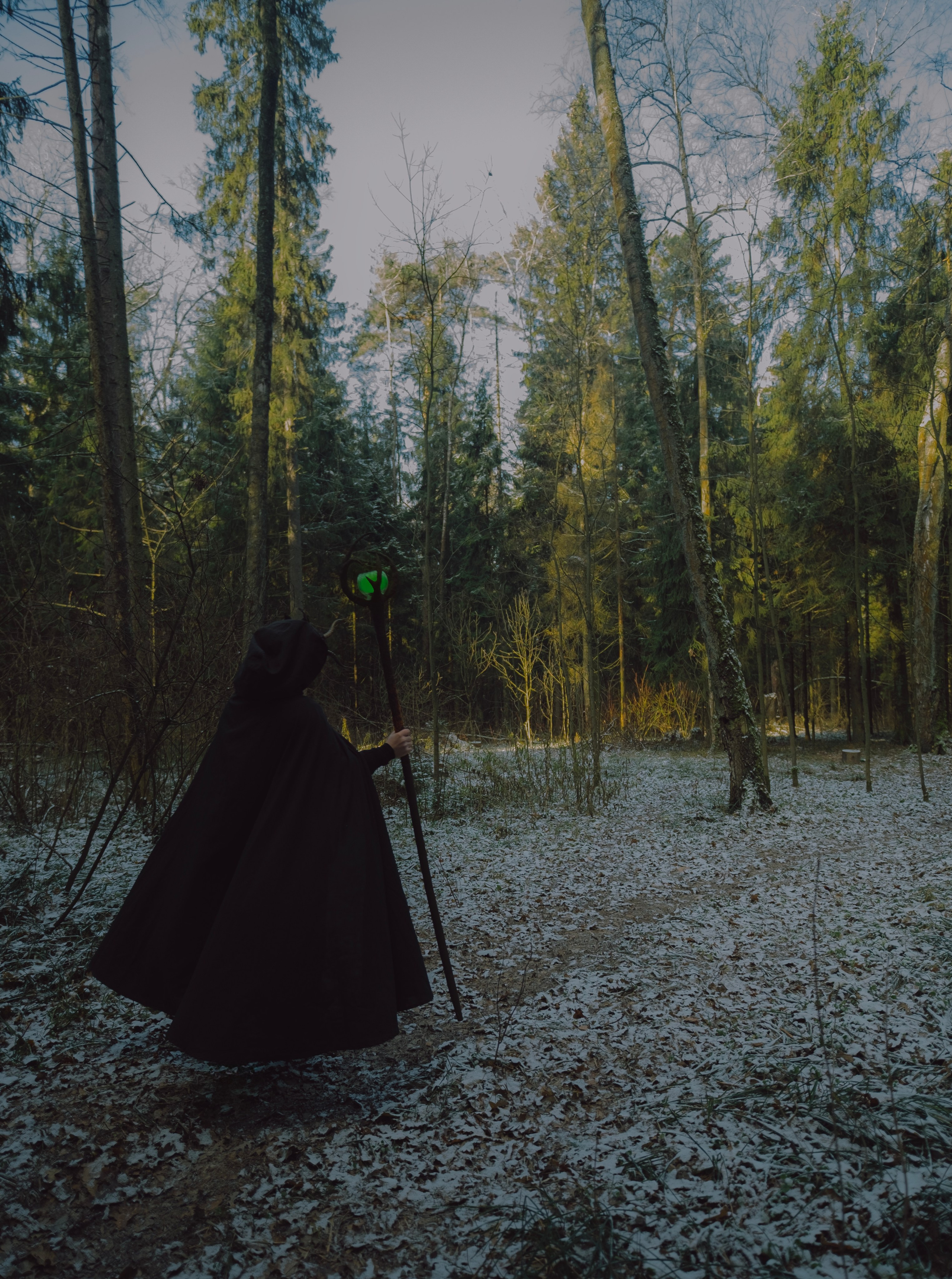 «Дух леса». Фотограф (Москва, Мытищи)— Комова Анастасия