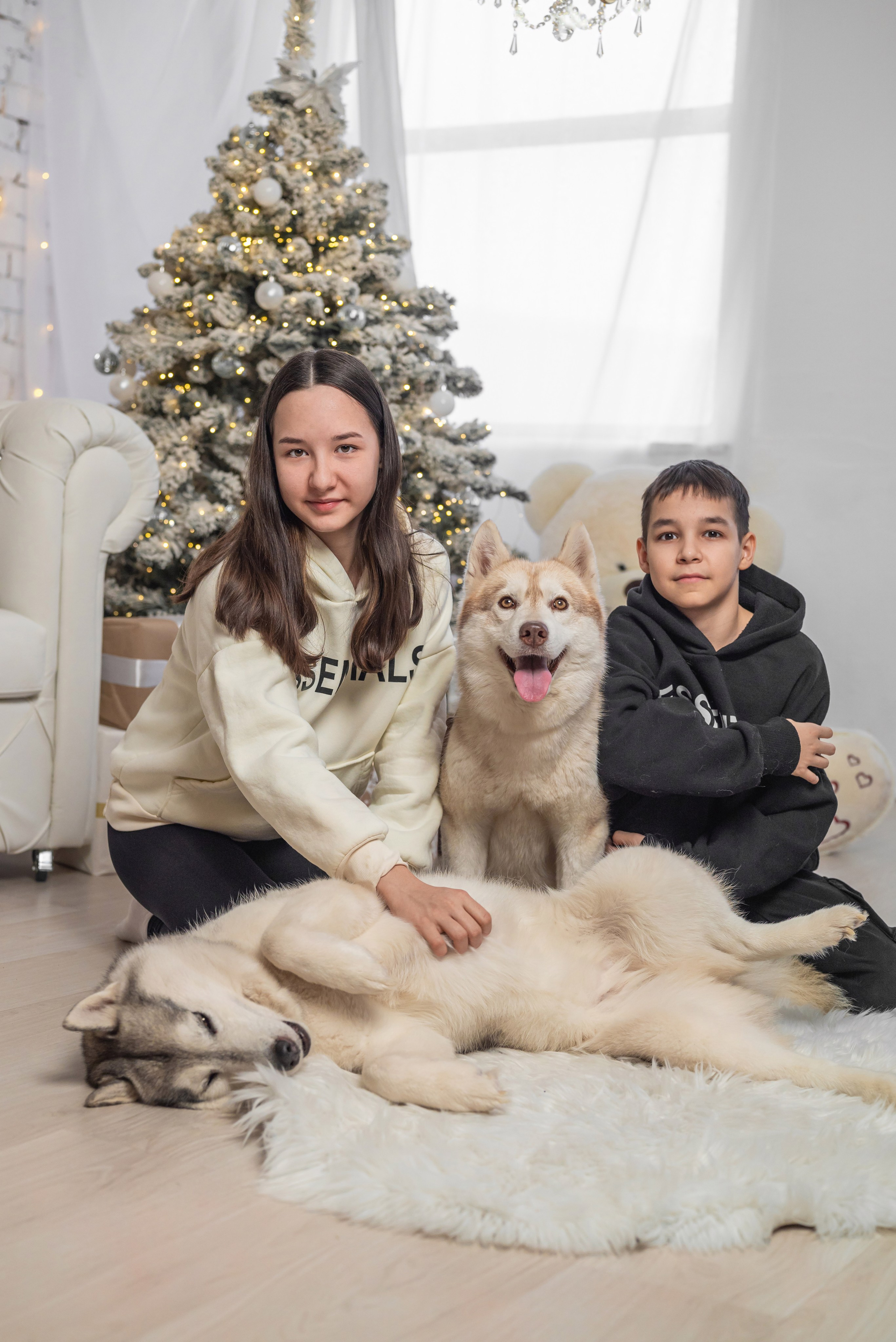 Фотопроект с хаски. Фотограф в городе Салават