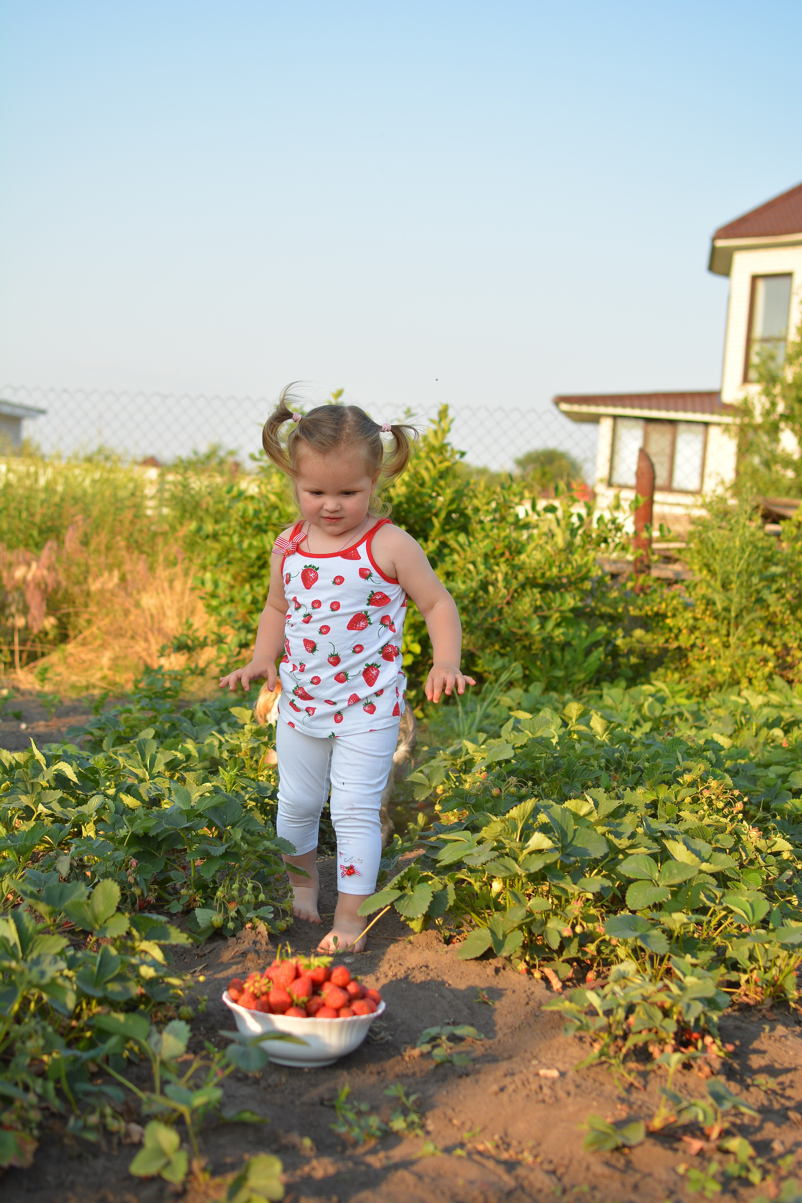 Полина с клубникой. Семейный и детский фотограф в городе Грязи Олеся Огурцова