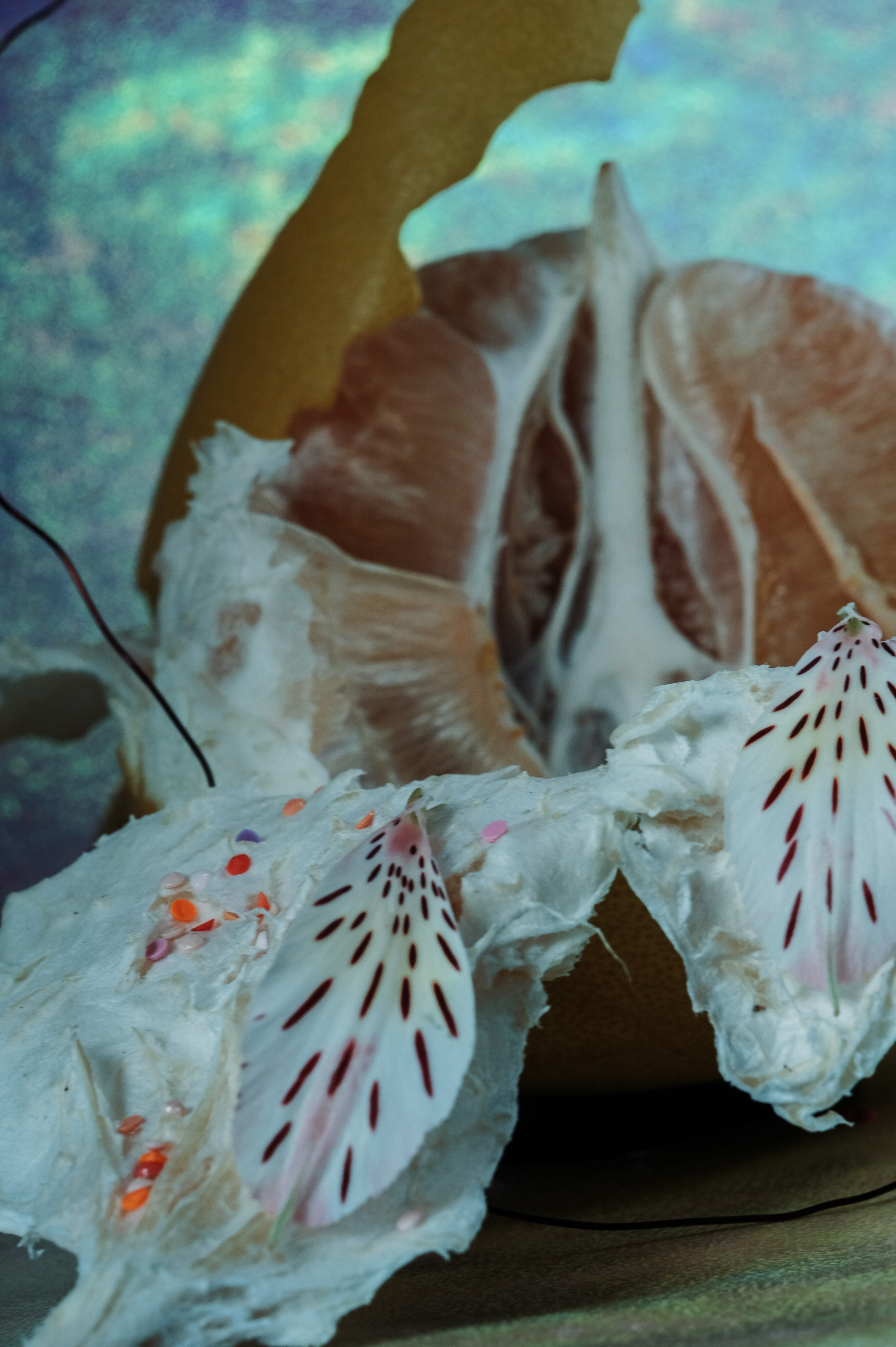 Art. Фотограф Алина Малина