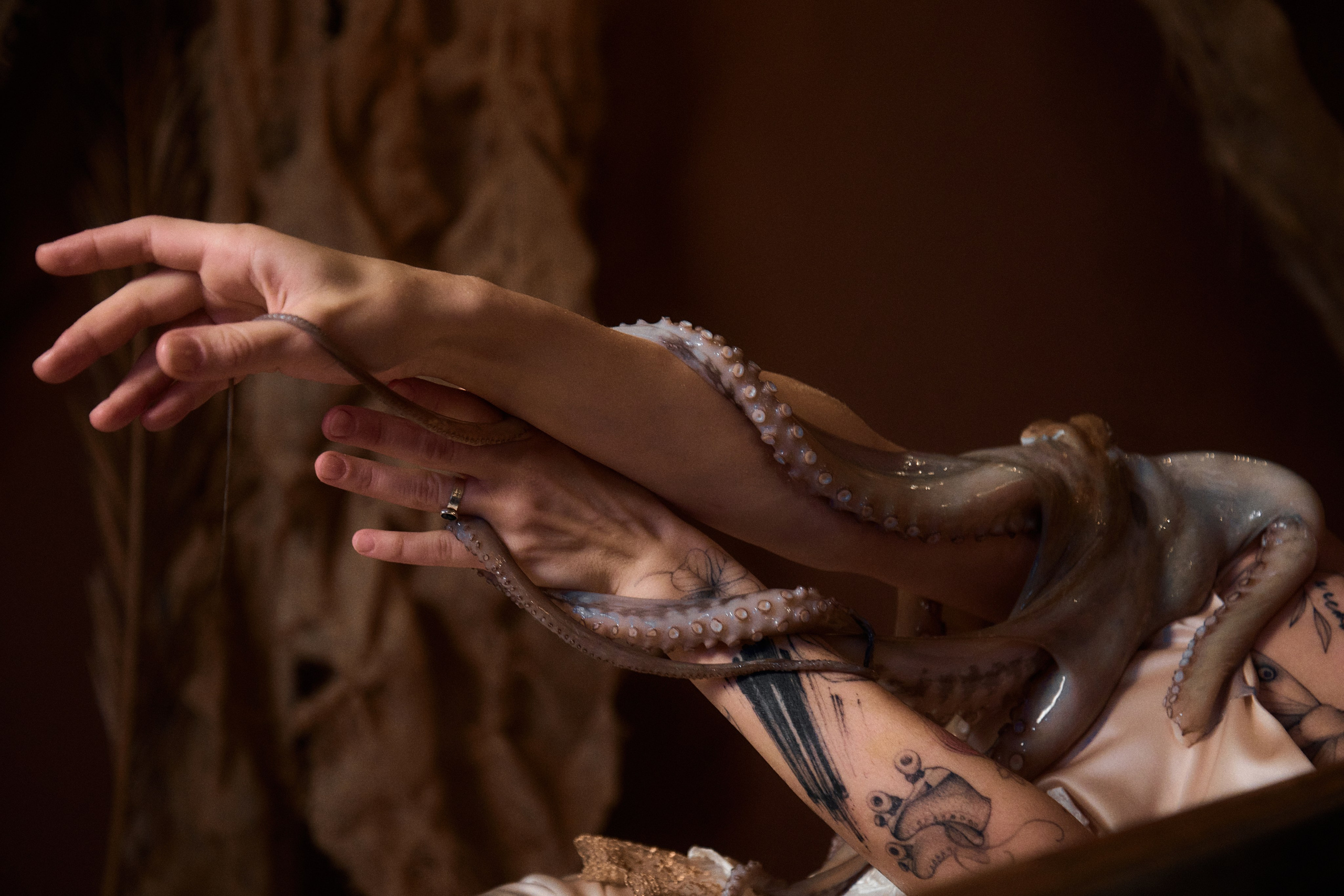 Octopus. Главная