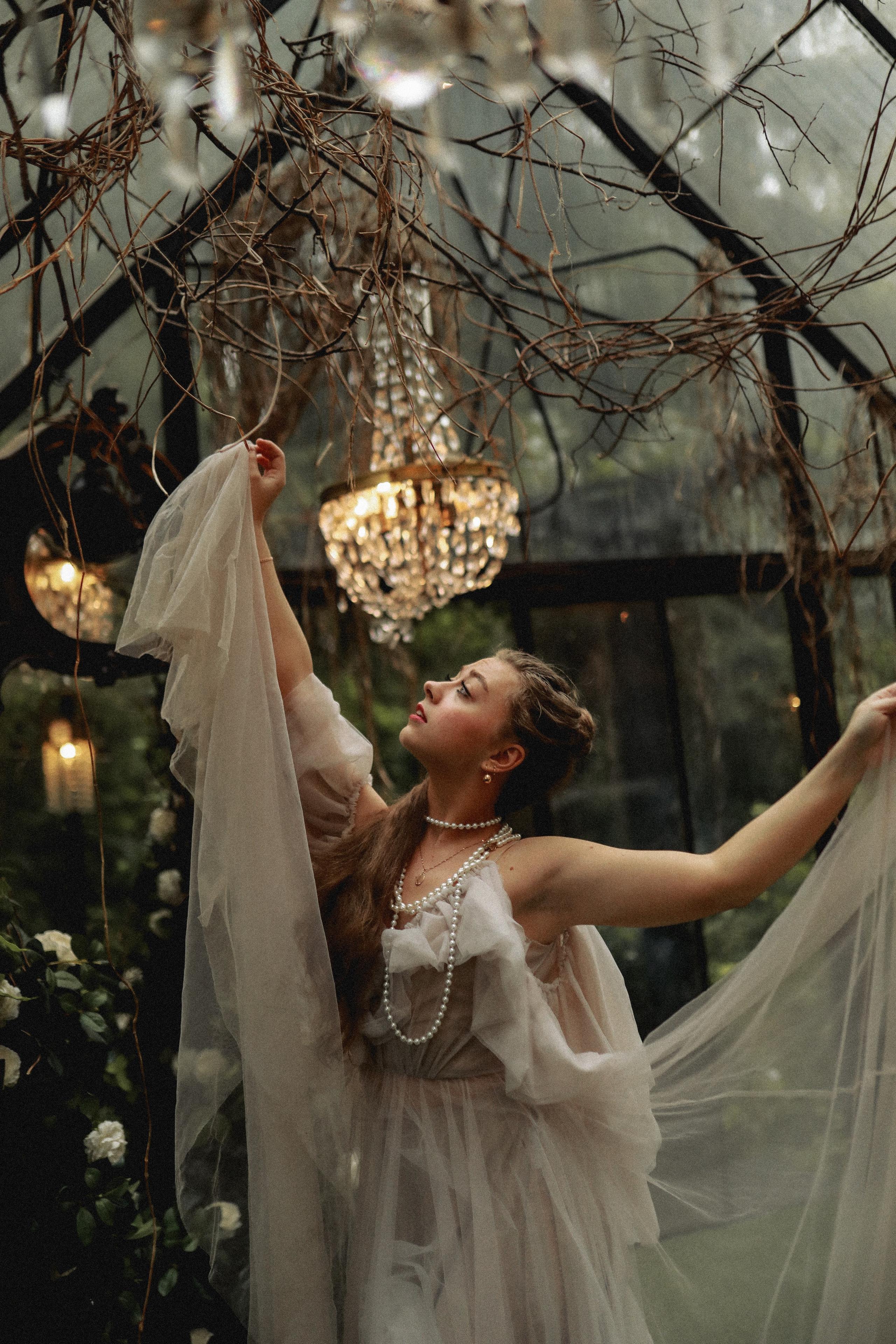 Зачарованный лес