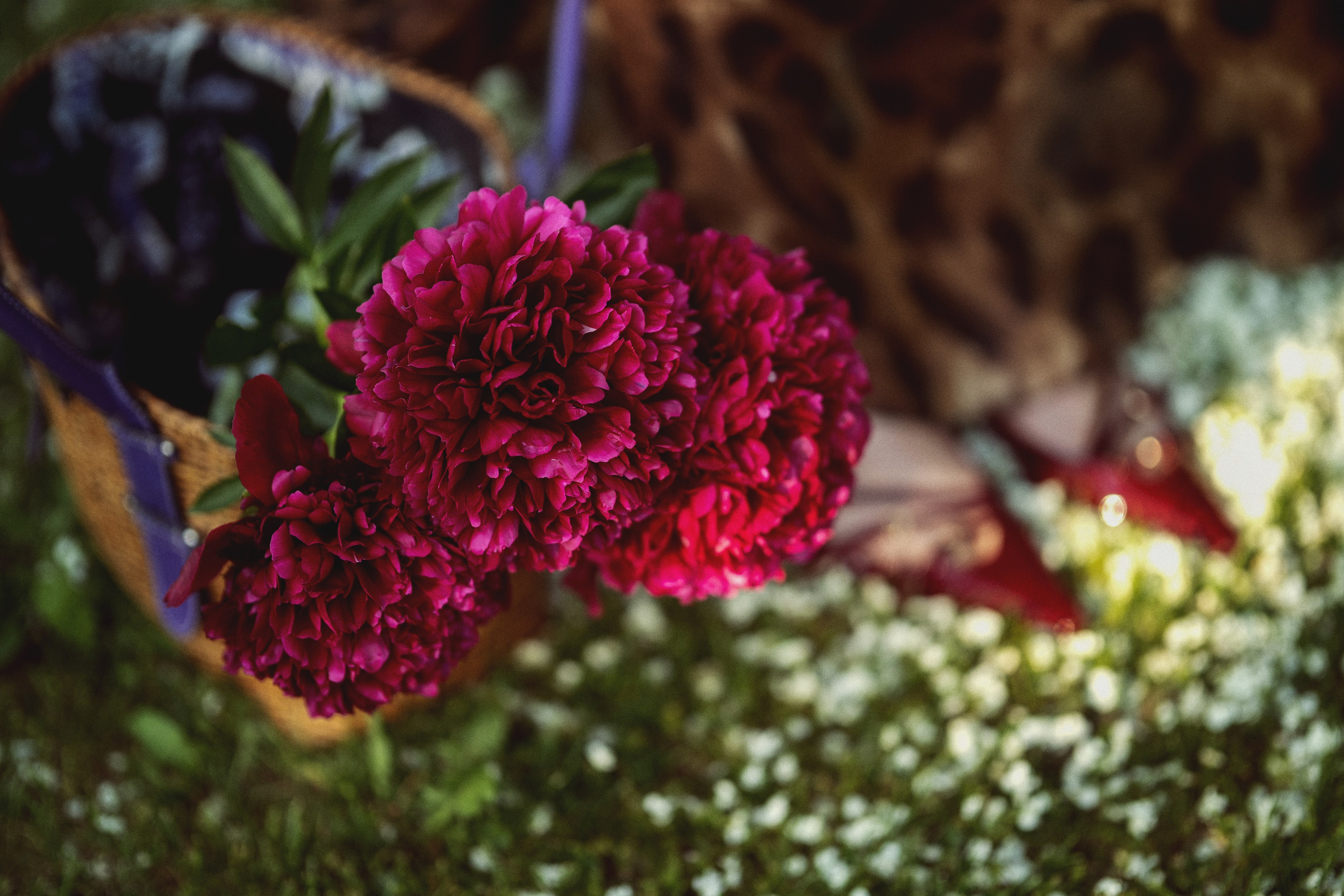 Дизайнер одежды. Фотограф Елена Буданова Тверь