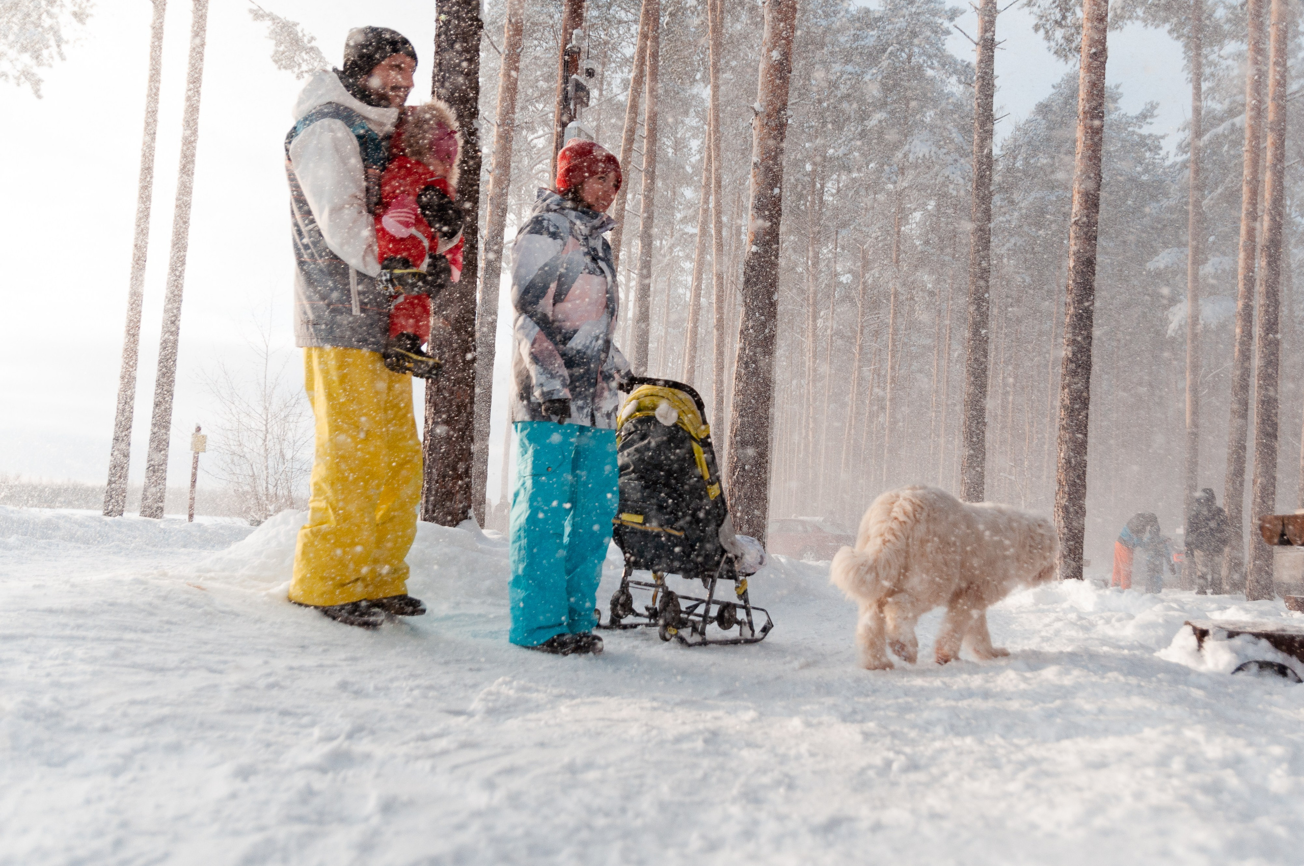 КСЮША+ВАЛЕРА+АВРОРА+РОБЕРТ. Фотограф в Ярославле Грибанова Ирина