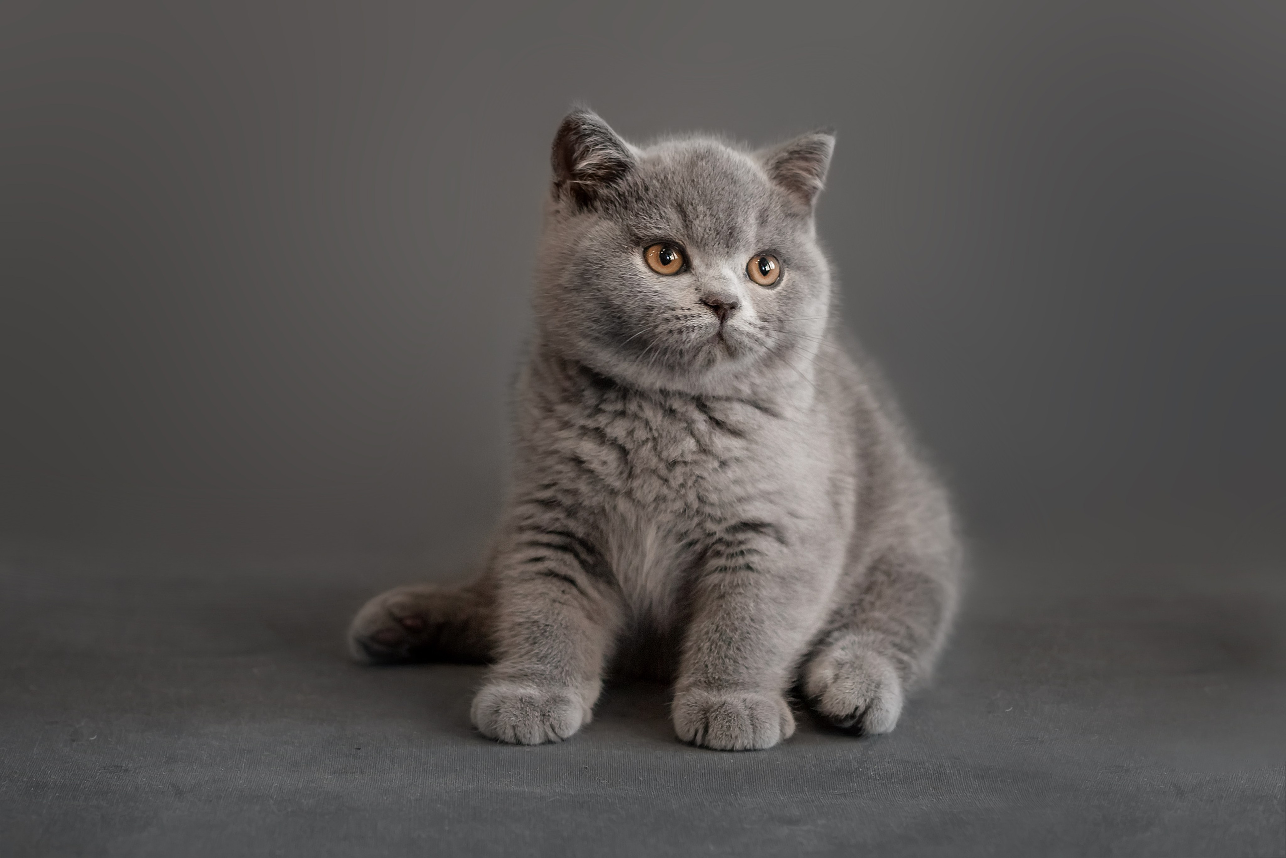 Фотограф в Хабаровске — запись на съёмку. Алена Попова — фотограф в Хабаровске