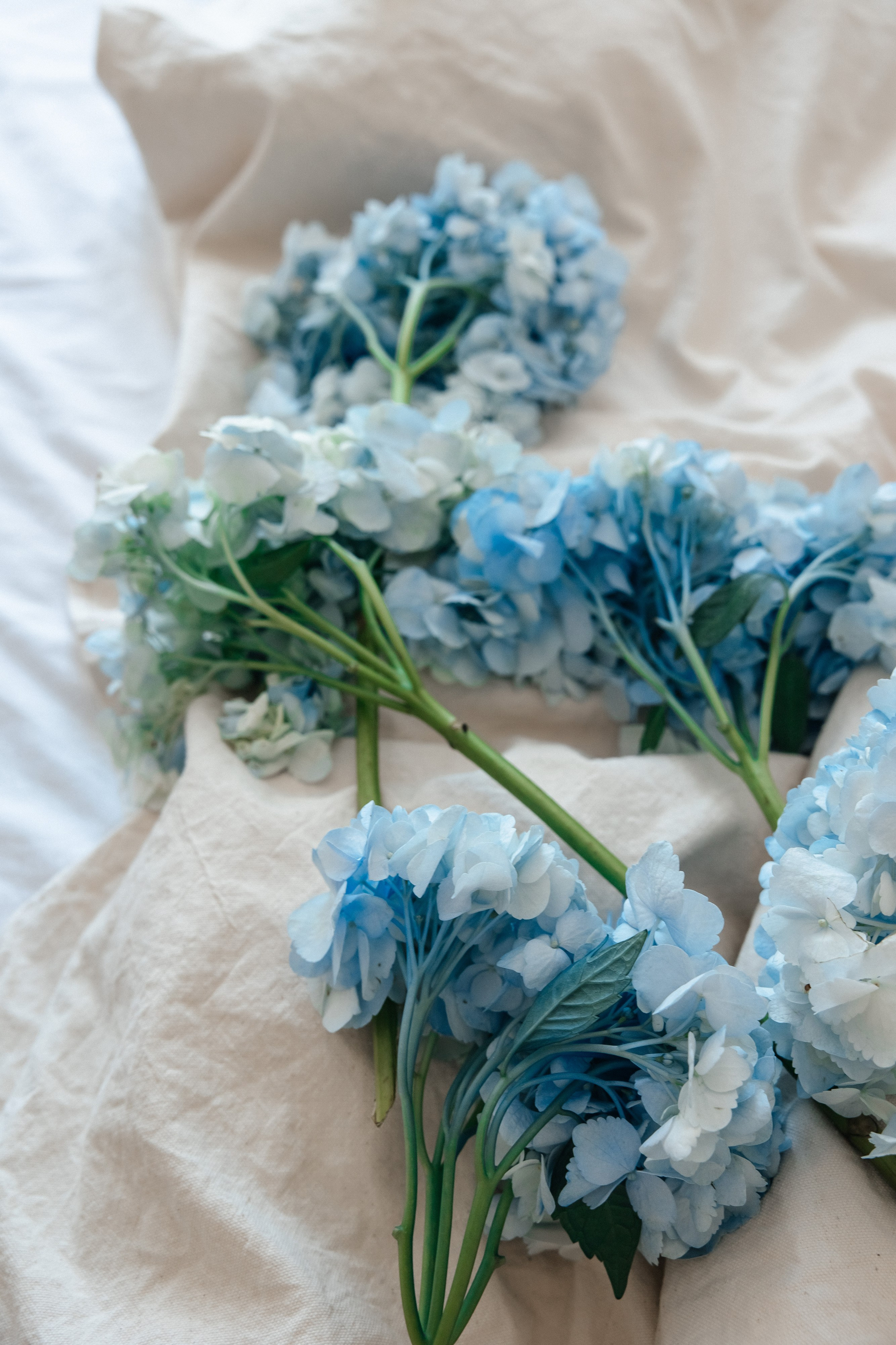 Семейная фотосессия Марк & Анна в ожидании чуда. Свадебный и семейный фотограф в Краснодар, Россия