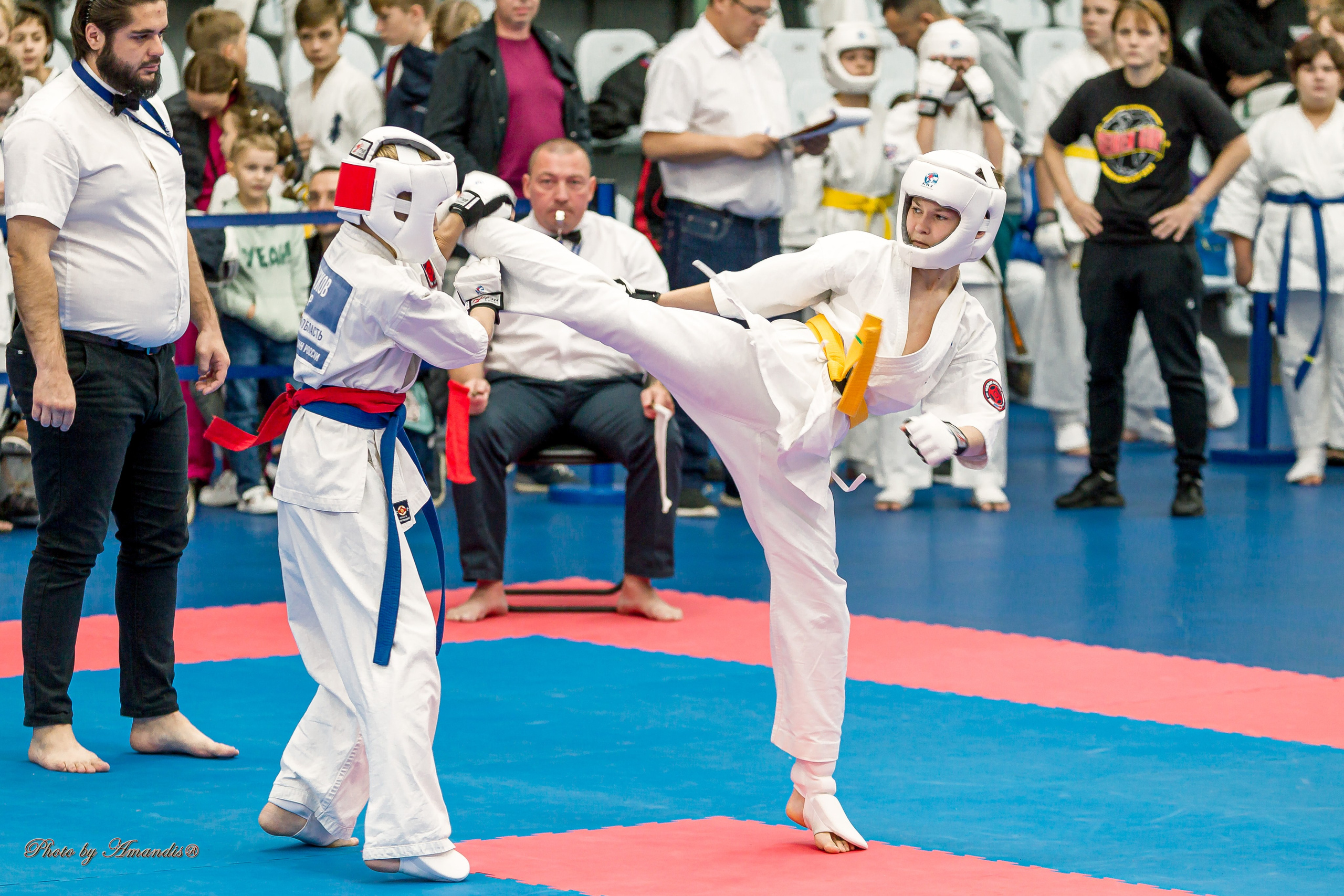 Чемпионат по Киокушинкай Центрального Федерального округа. Репортажная съемка в Москве и области. Анималистика