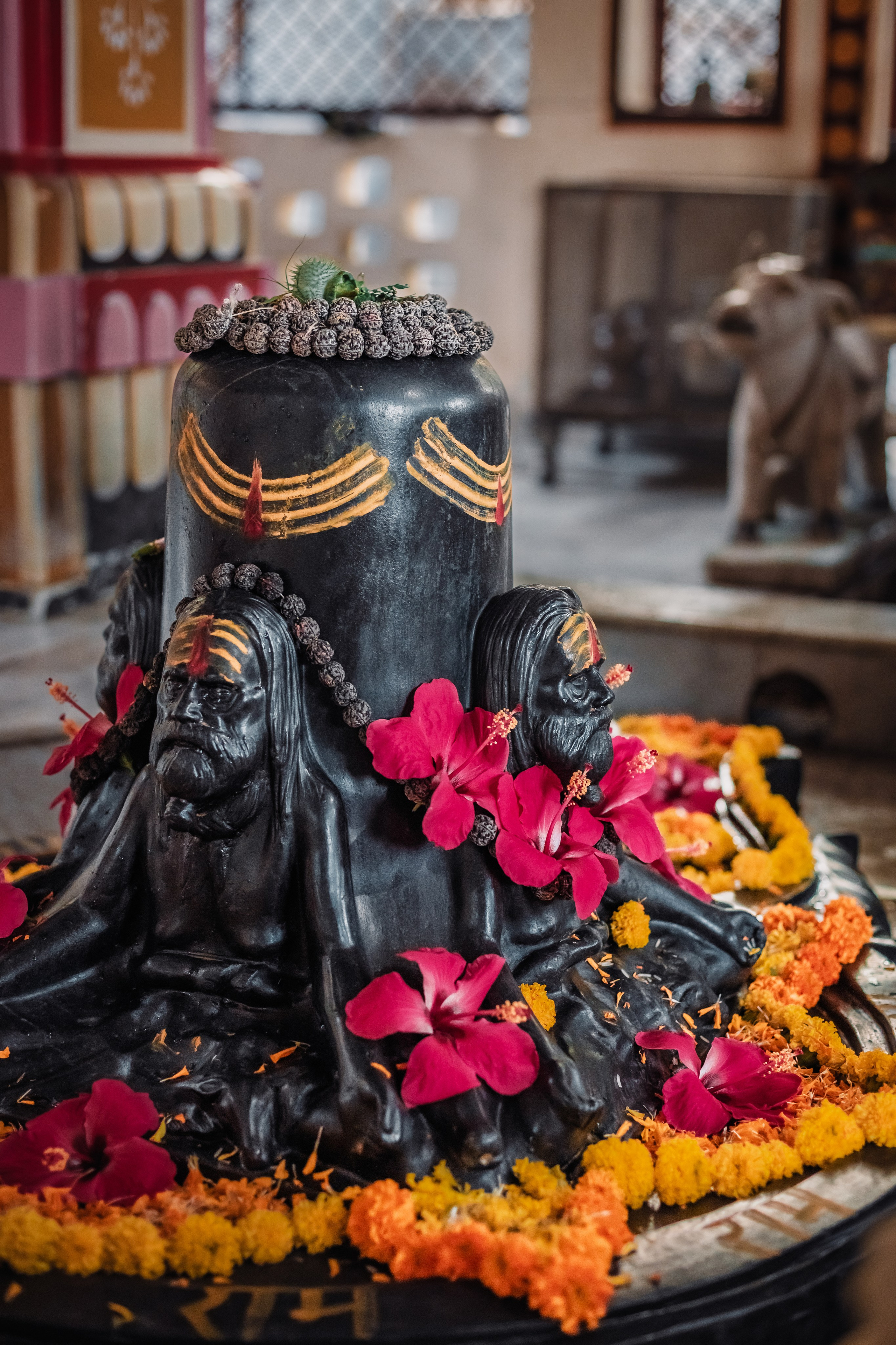 Devraha baba ji ashram life 2025. Mariam Bagdasaryan