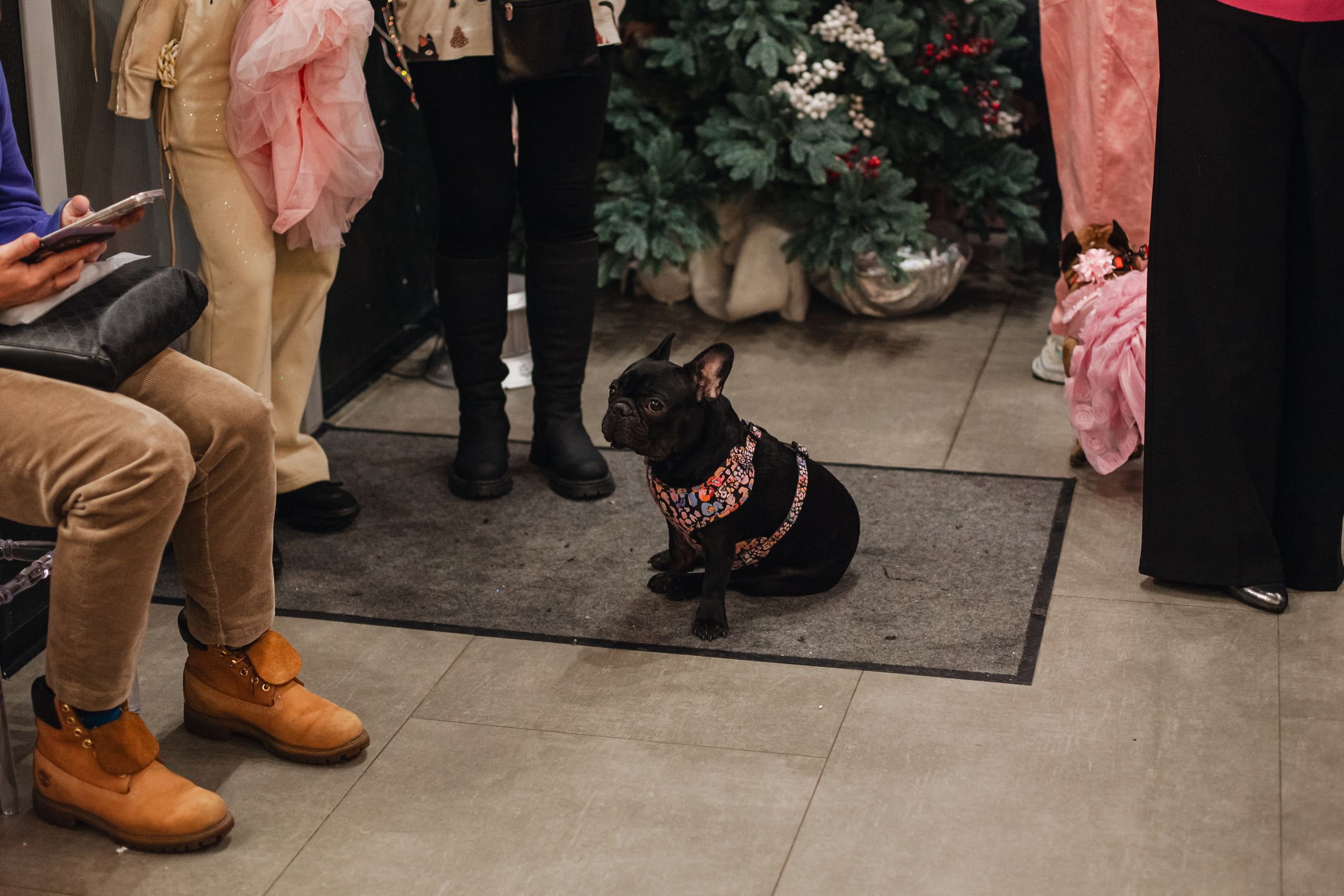 Бульёлка 2024. Фотограф-анималист Татьяна Степанова