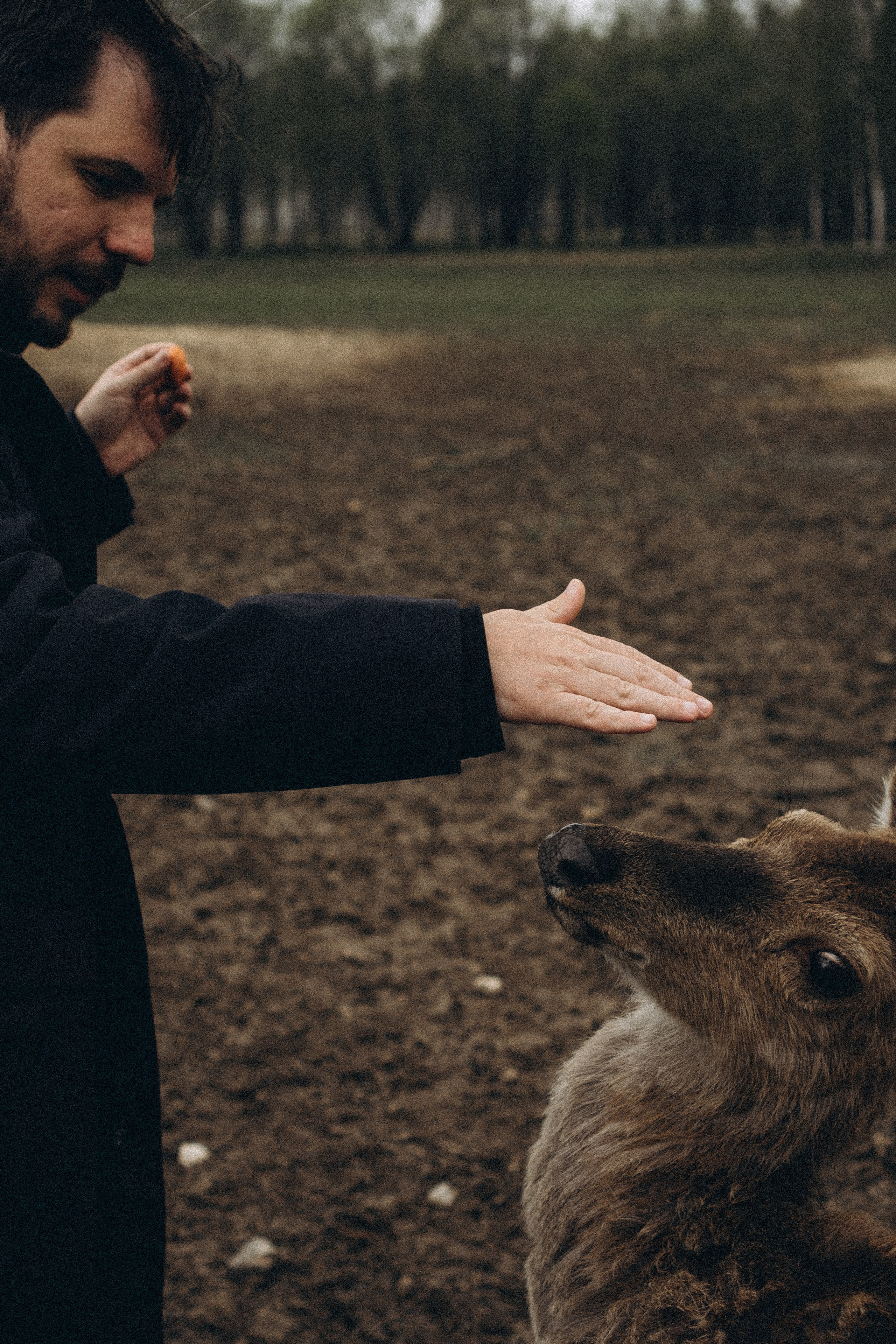 ОЛЕНЬЯ ФЕРМА В ТВЕРИ. Профессиональный фотограф, Санкт-Петербург — Виктория Богомолова