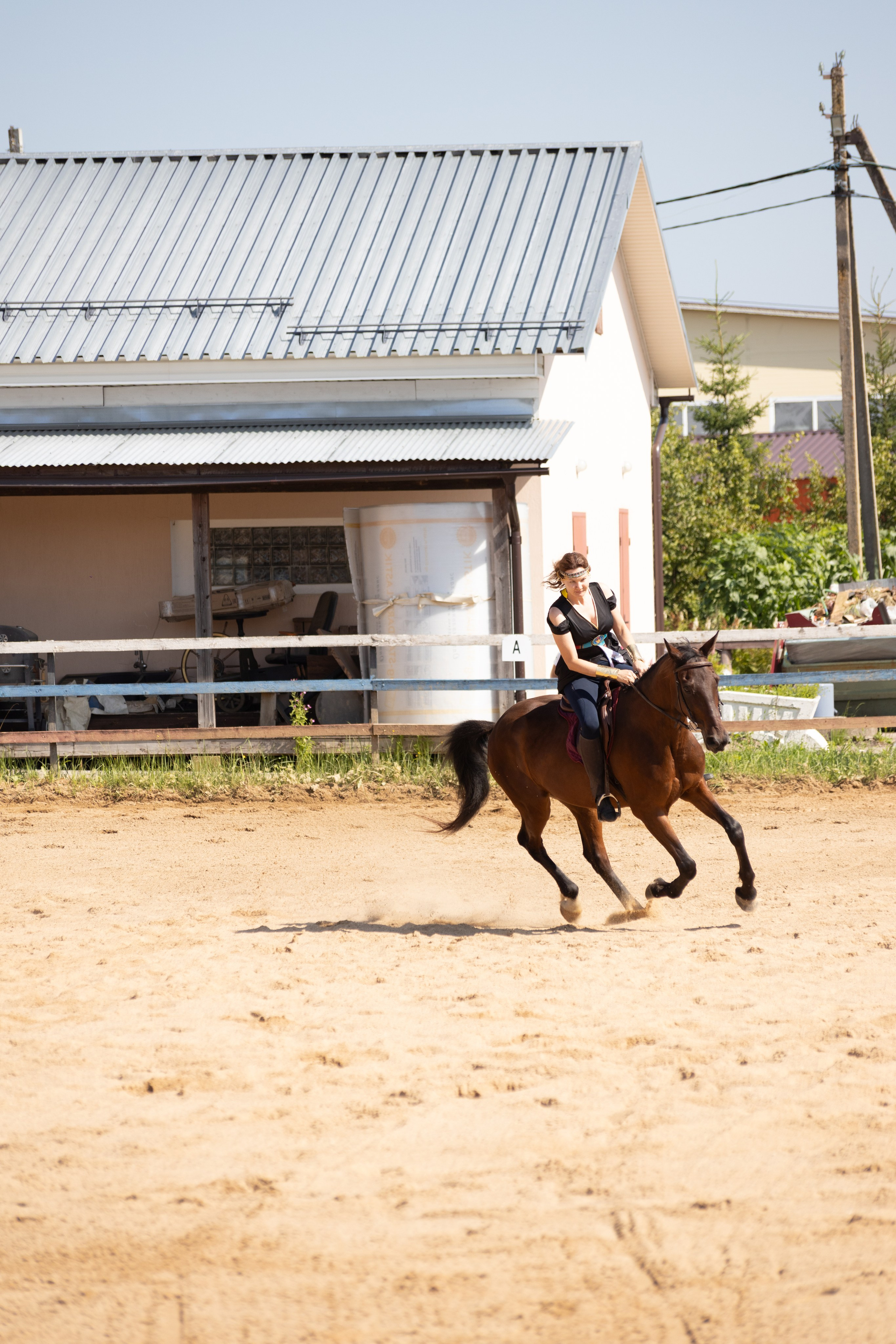 Конюшня. Фотограф в Москве и Истре