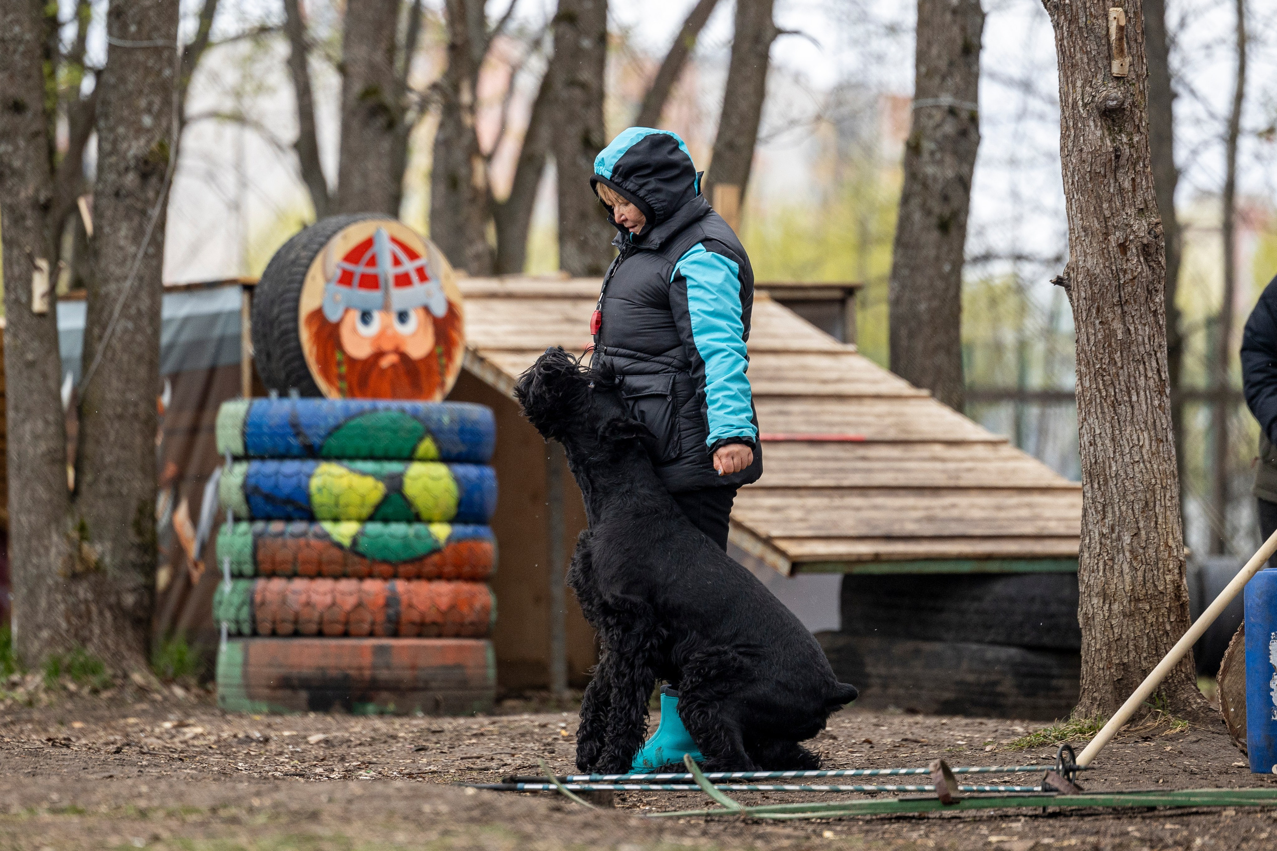 Квалификационные состязания по мондьорингу г. Вологда 11.05.24. Фотограф-анималист Анна Маринич