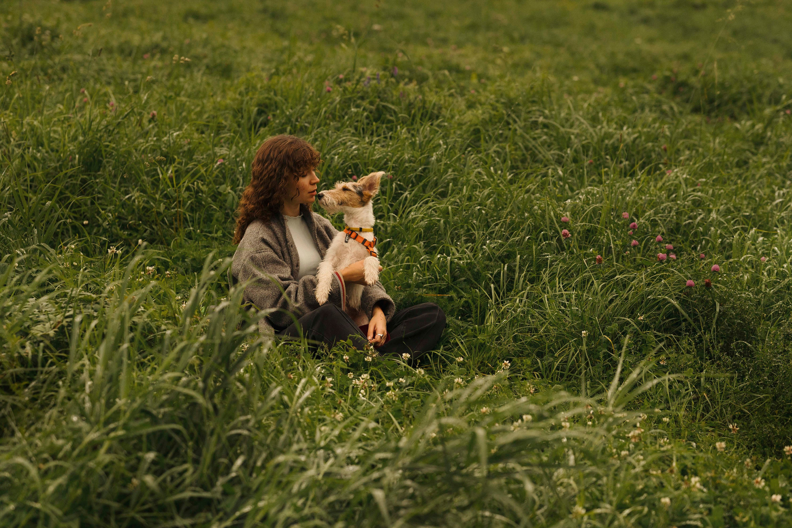 Мартин. Фотограф- анималист Александра Матвеева