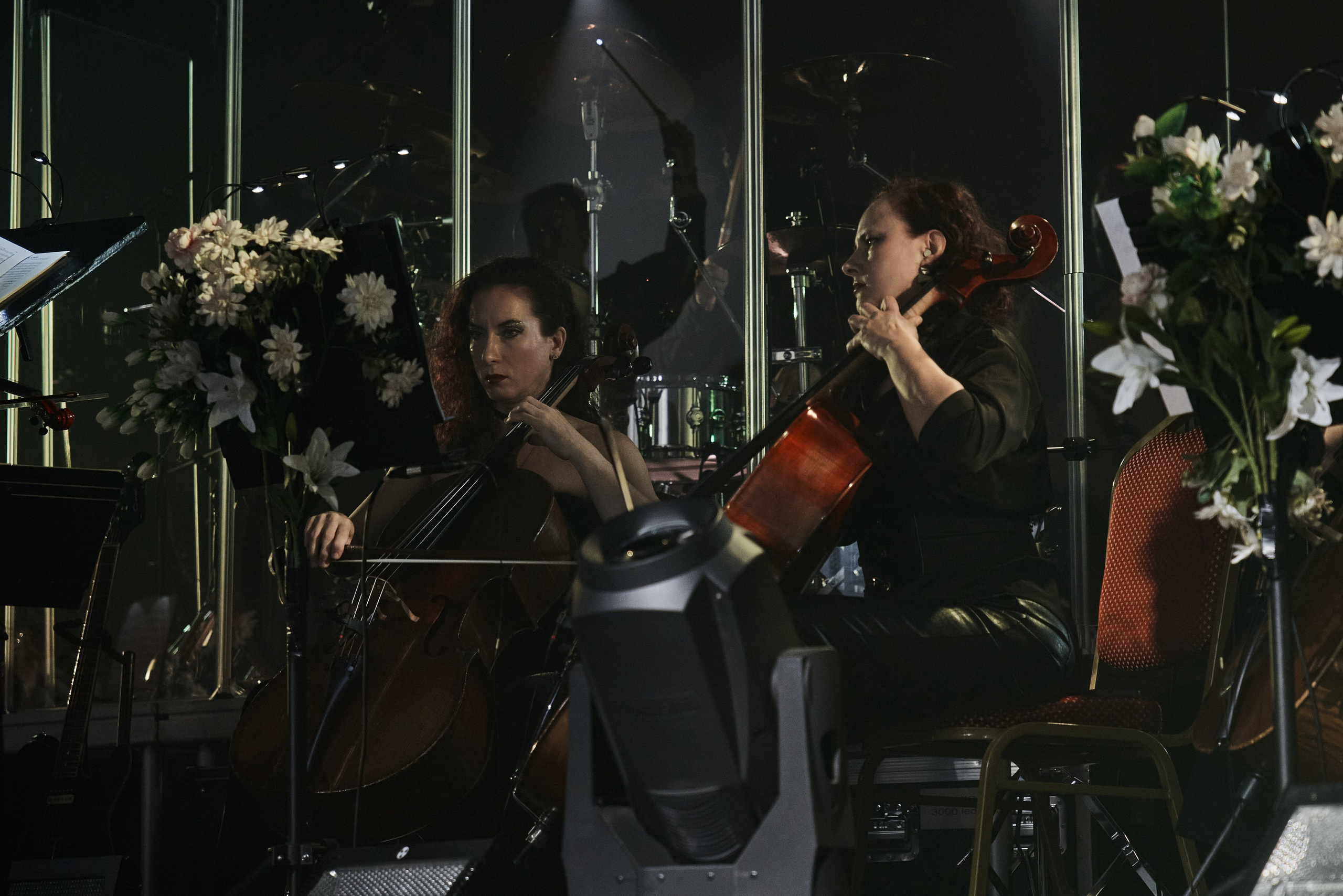 Saphath. «Симфония пепла»