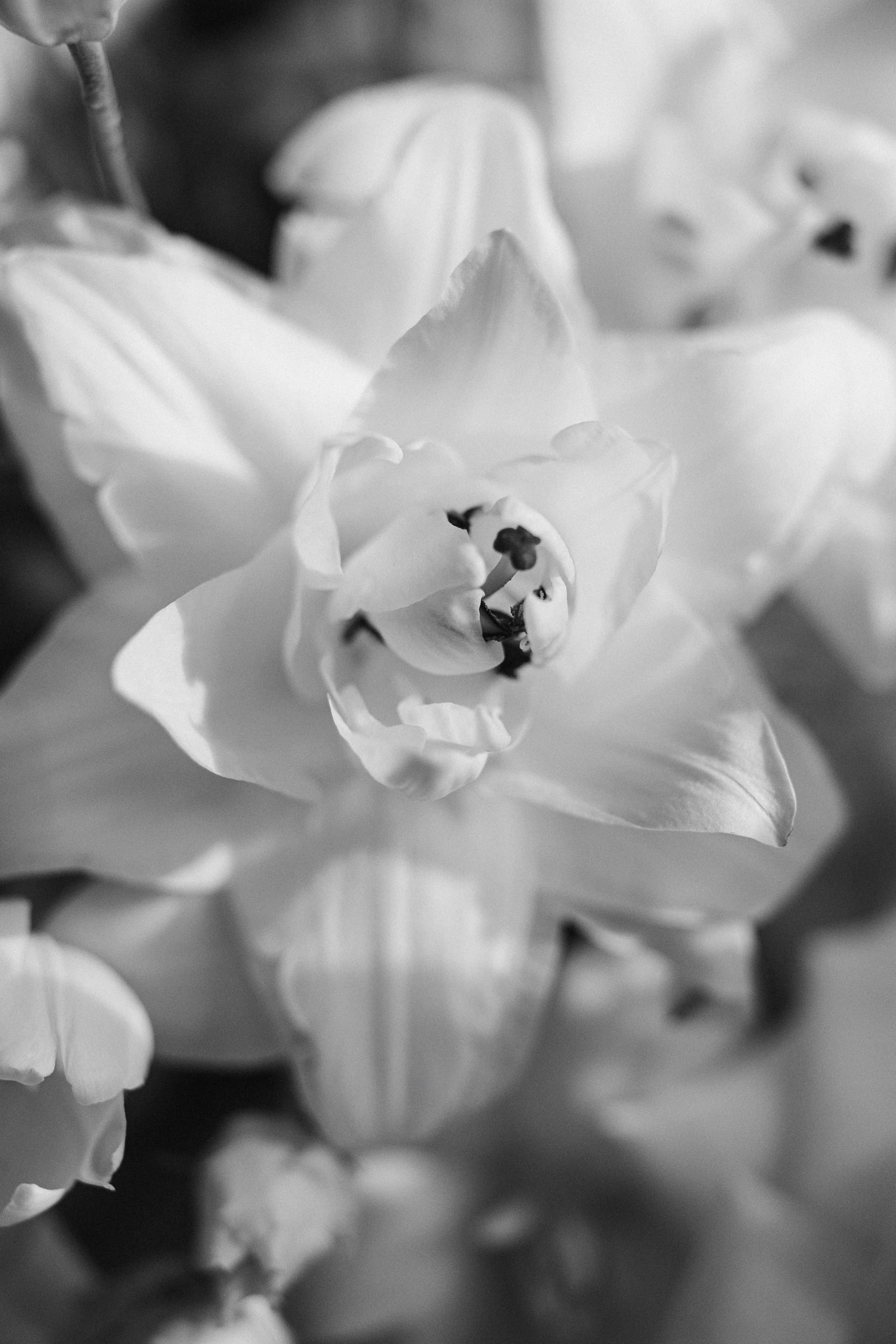 Свадебный банкет на вилле Политика. Свадебный фотограф Москва