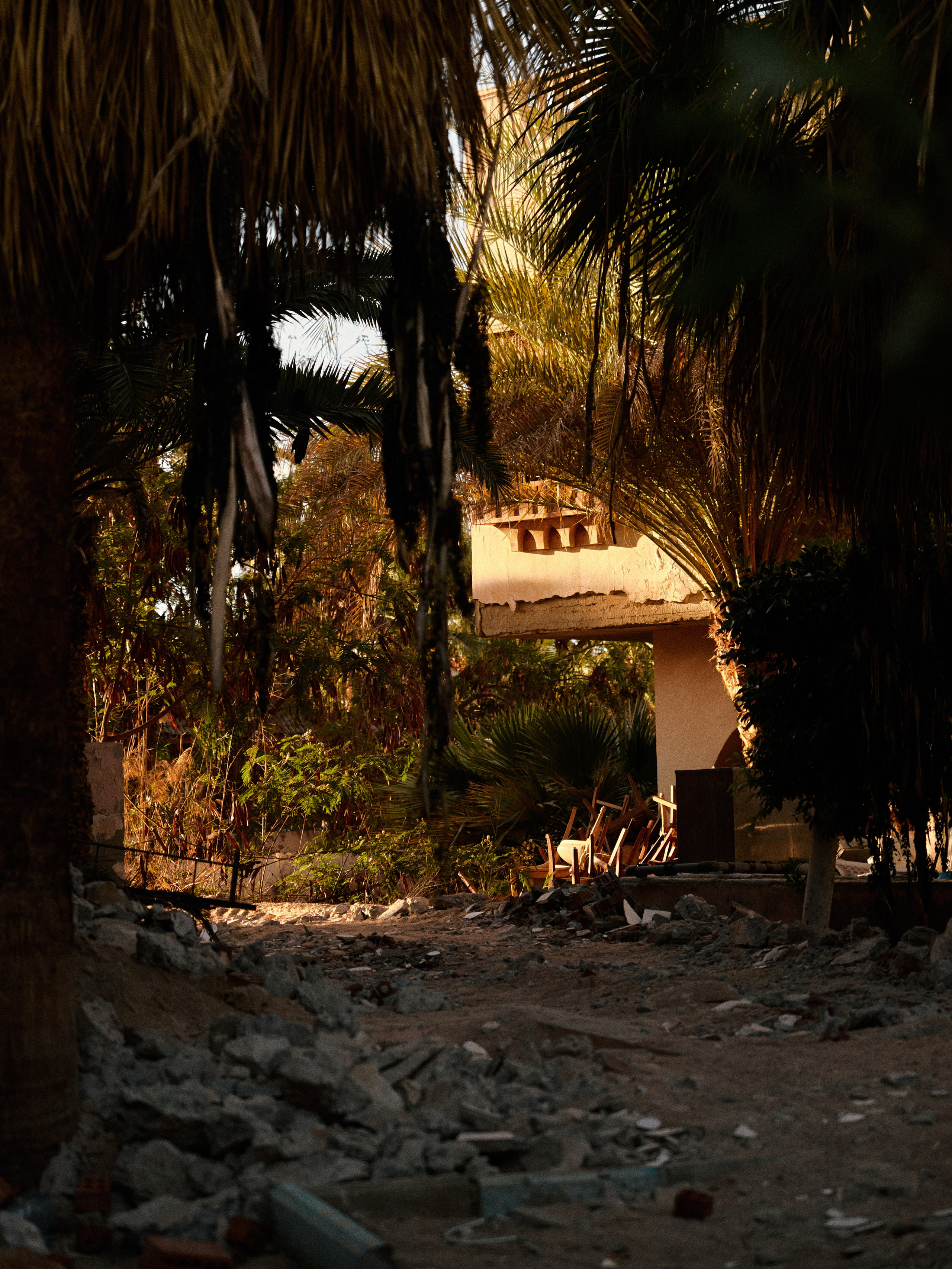 Улицы. Jorgis Talè — photographer, kind person, teacher of arts and other mag