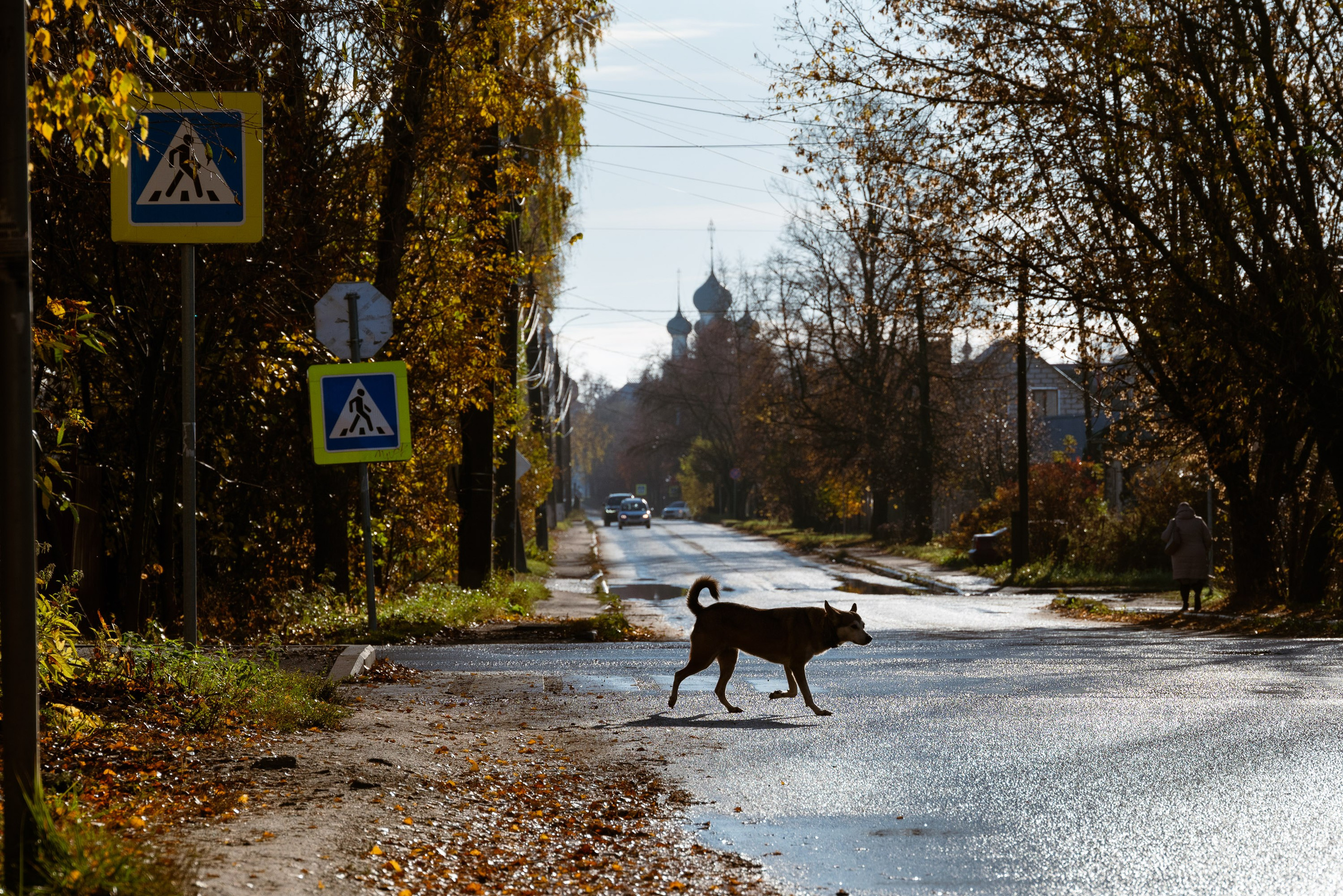 Ростов Великий. В километре от кремля. Фотограф Антон Денисенко: Портрет, Документалистика, Пейзаж. Москва