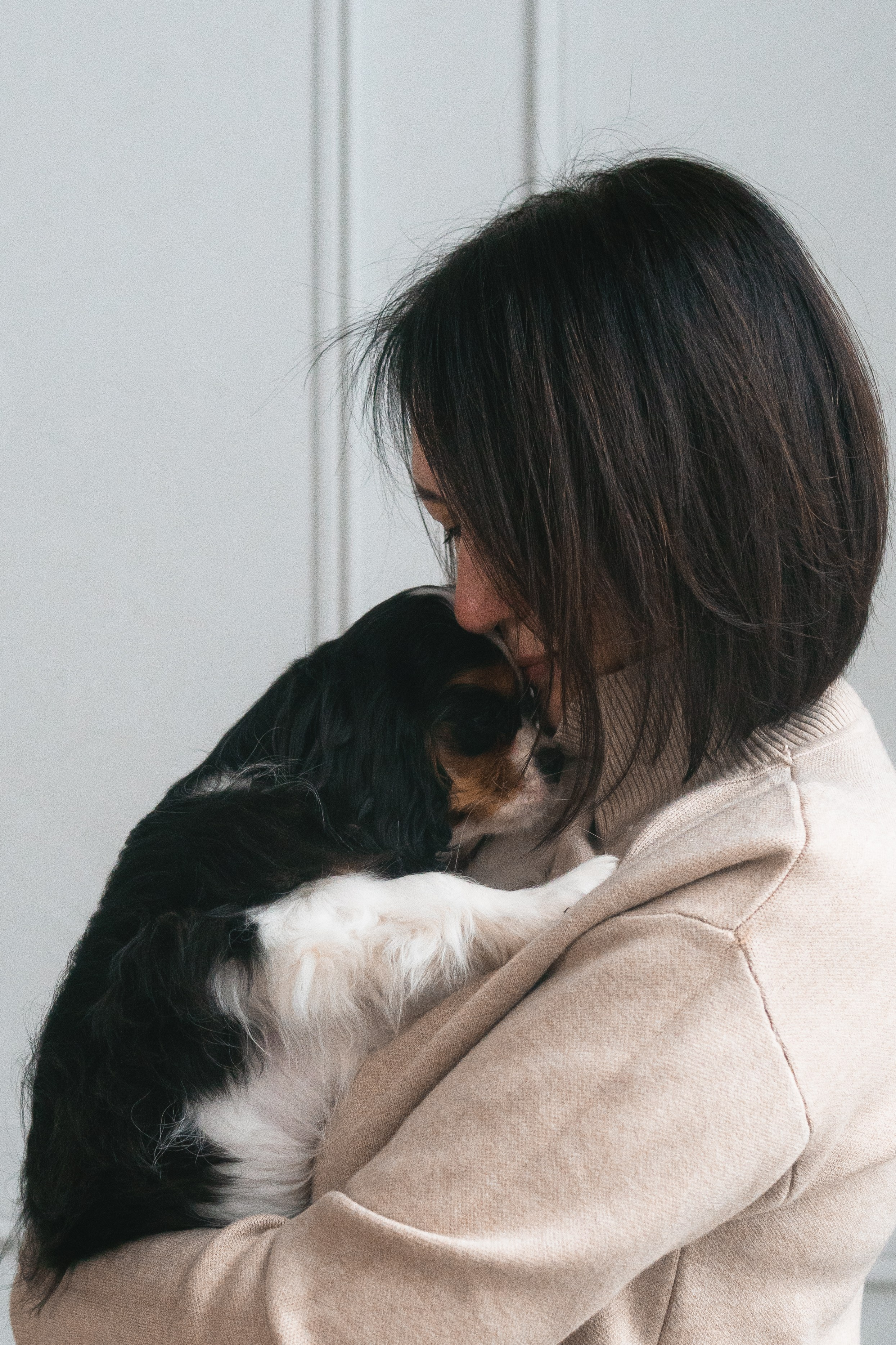 Belle Destino (питомник): история о нежности. Портретный и репортажный фотограф в Воронеже: Анастасия Пузикова