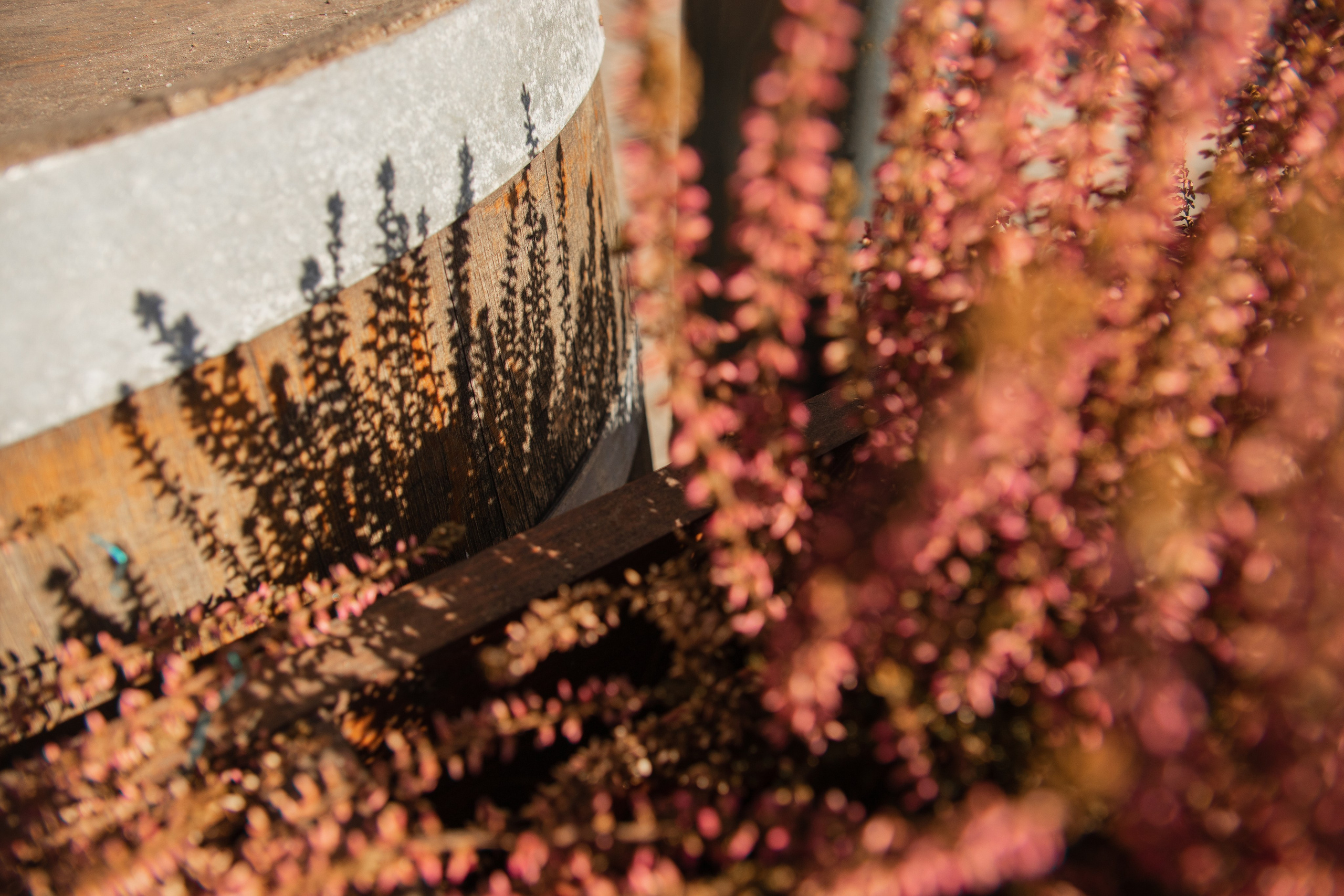 Моменты. Главная