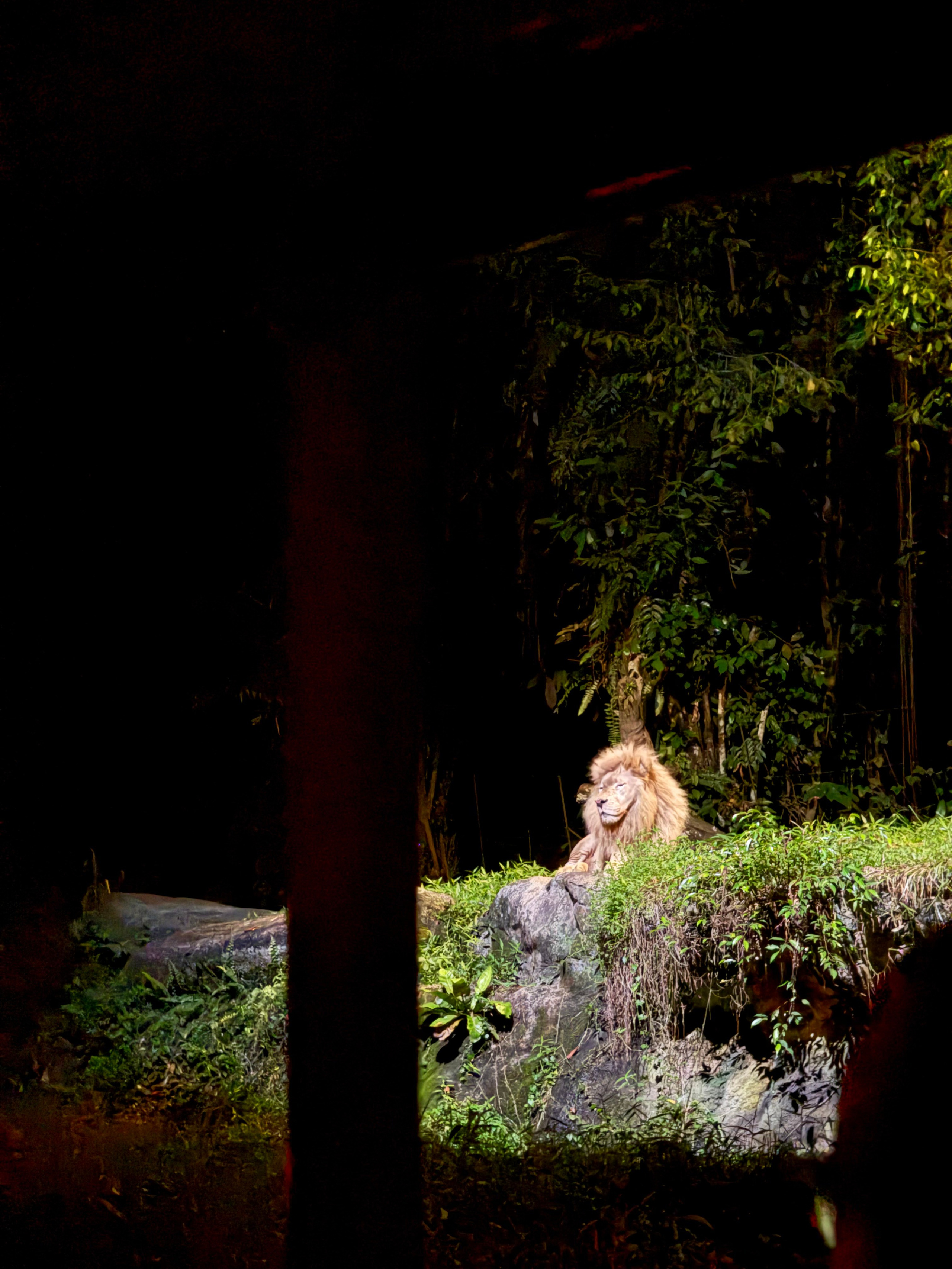 Сингапур 2025. А вот и да!