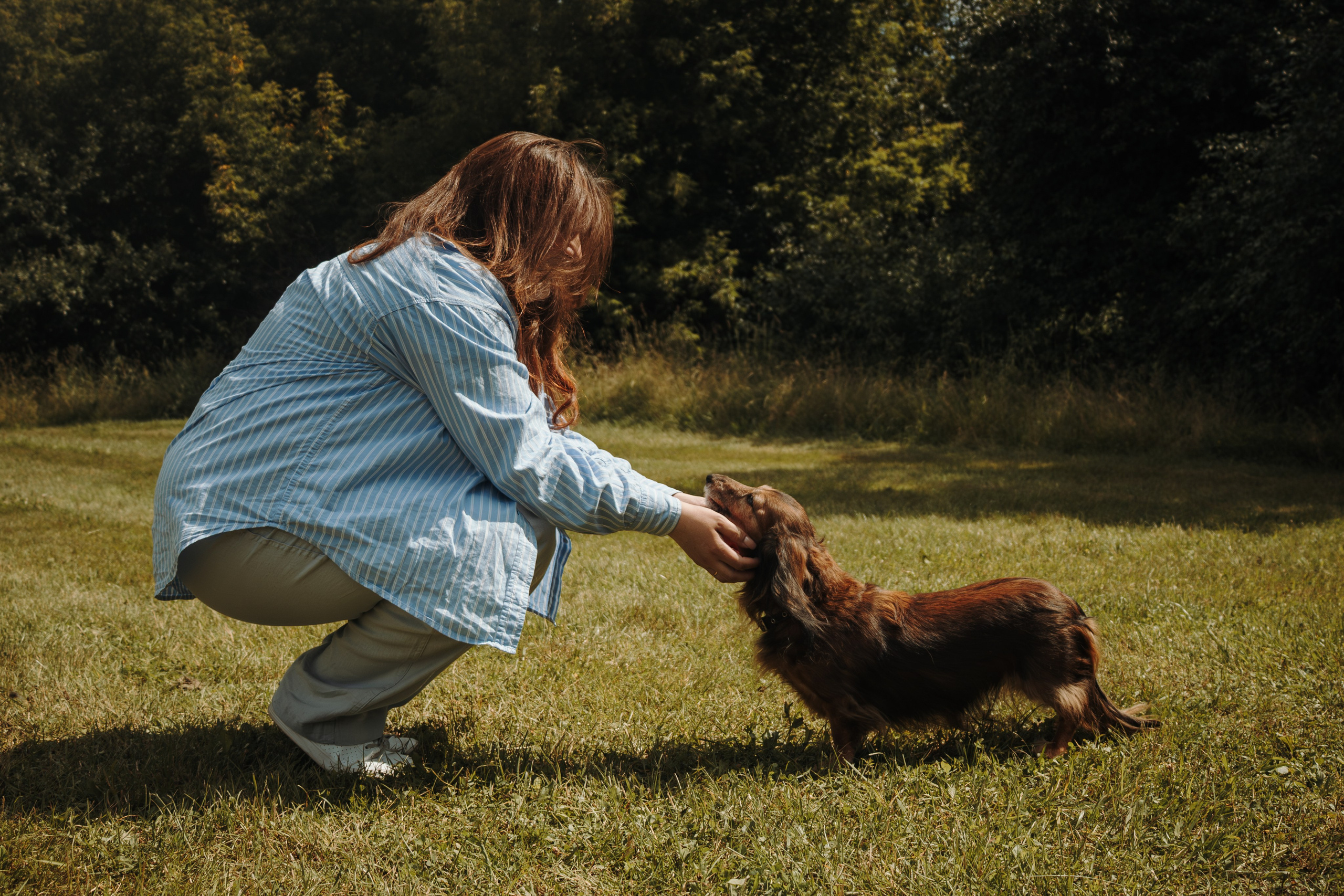 Семейная фотосессия с собаками в парке. Фотограф-анималист в Москве Екатерина Тихонова