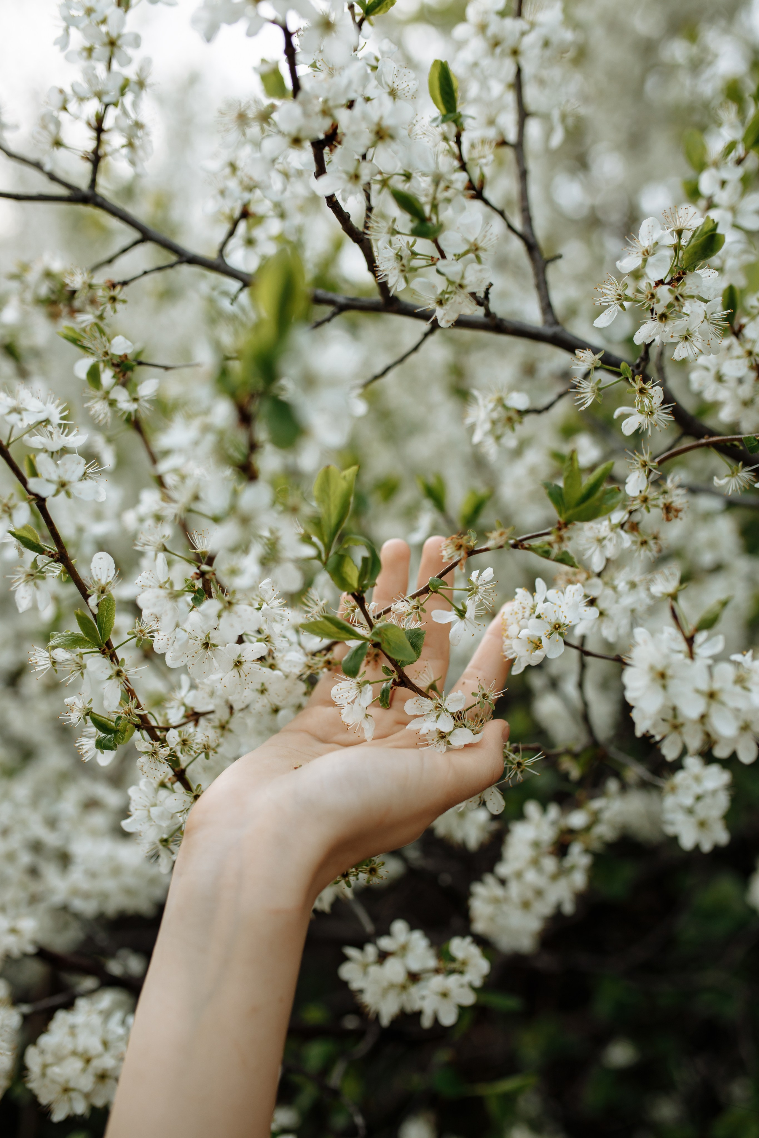 Диана. Детский и семейный фотограф г. Чебоксары Оля Горбунова