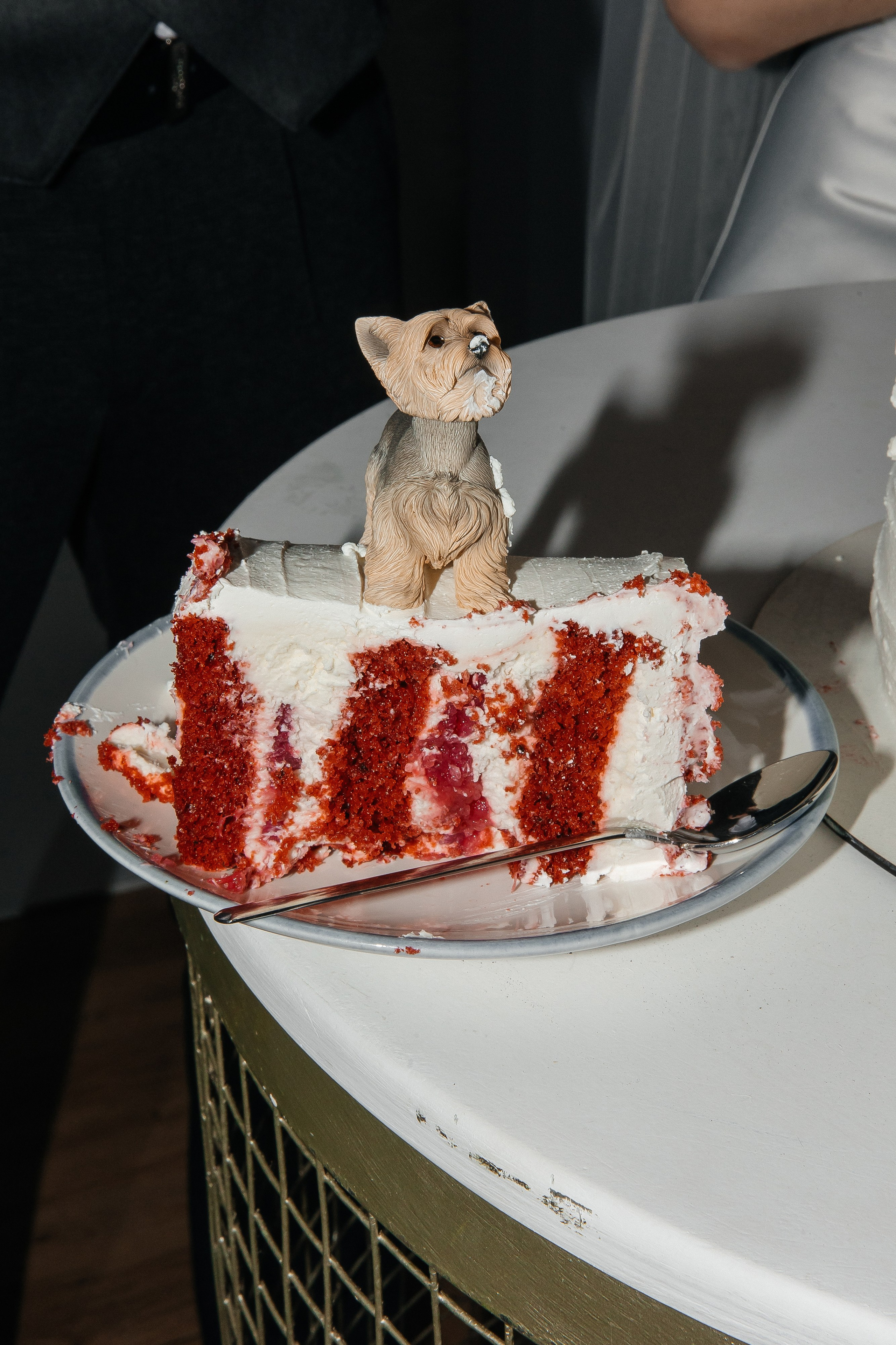 Эльмира+Дмитрий. Свадебный и портретный фотограф в Екатеринбурге Виолетта Куприкова