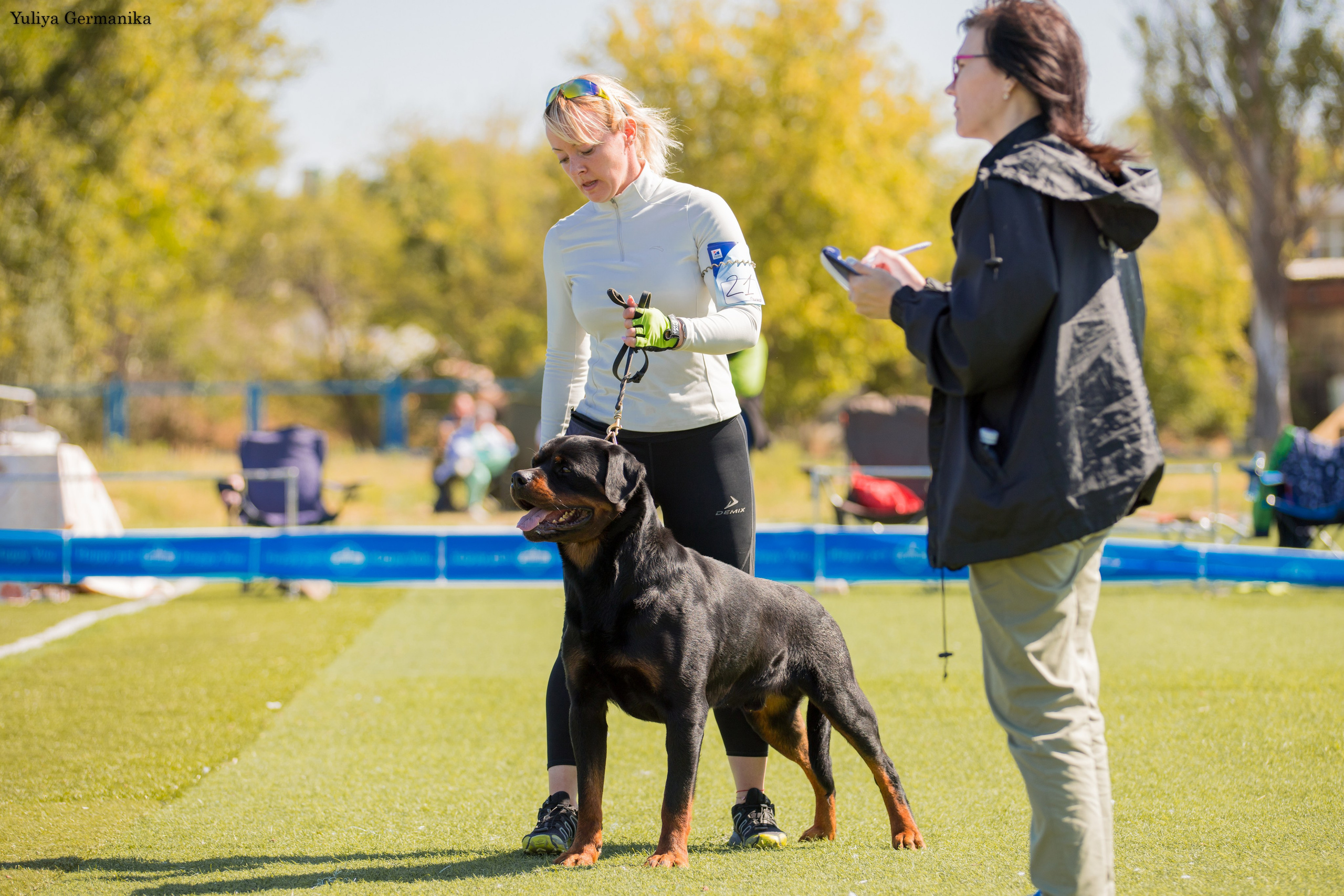 Анапа 16-17.09.2023 моно ротвейлеров. Фотограф-анималист Юлия Германика