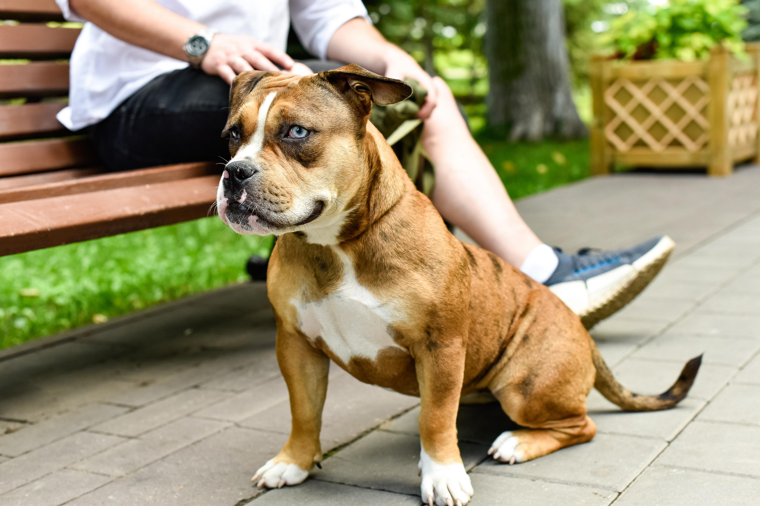 Таня и Сашуля