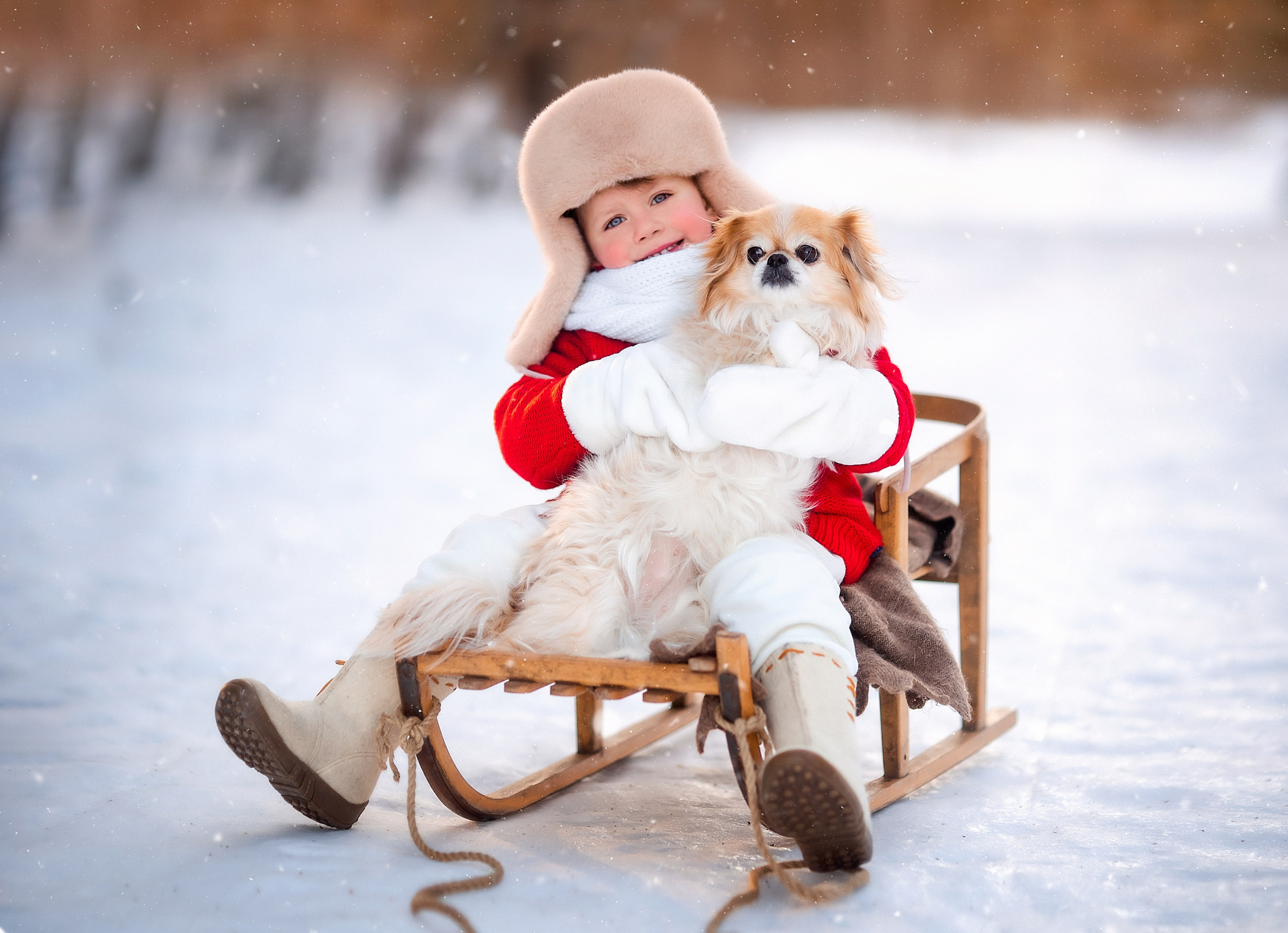 Санки; валенки; шарф; варежки
