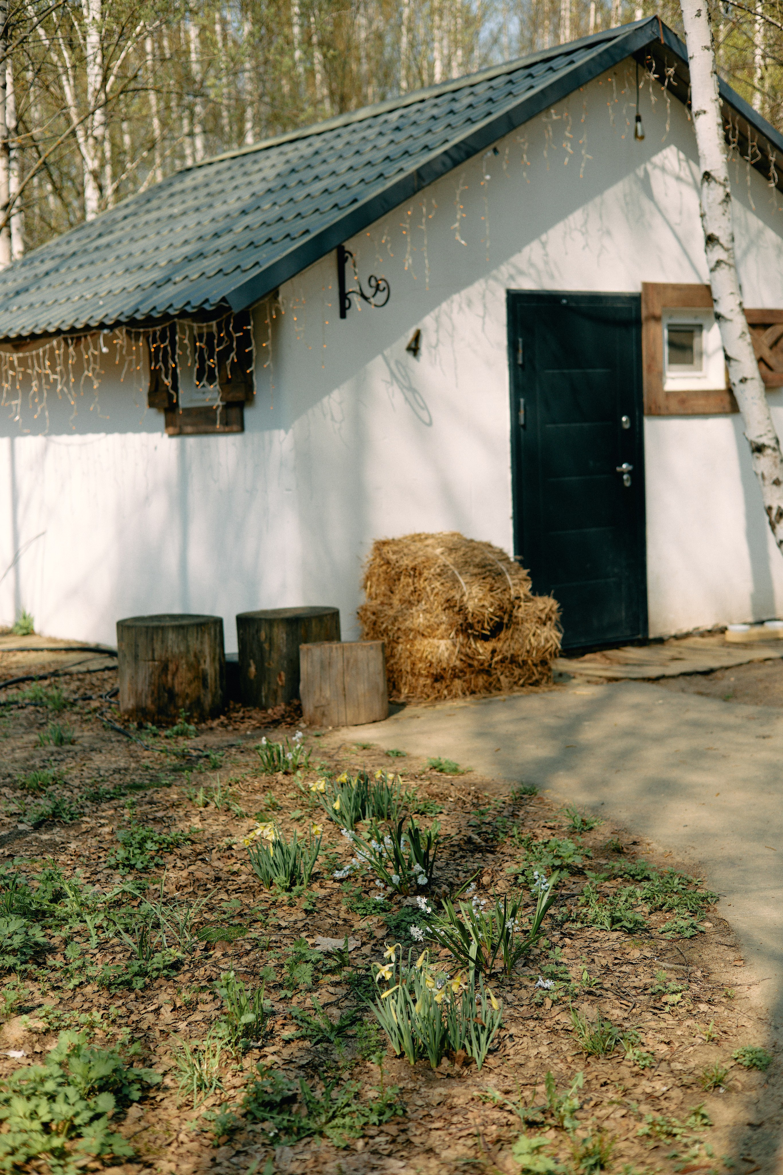 Бутик-отель Поле летом. Профессиональный Фотограф во Владимире, в Москве и в Суздале — Полина Романычева
