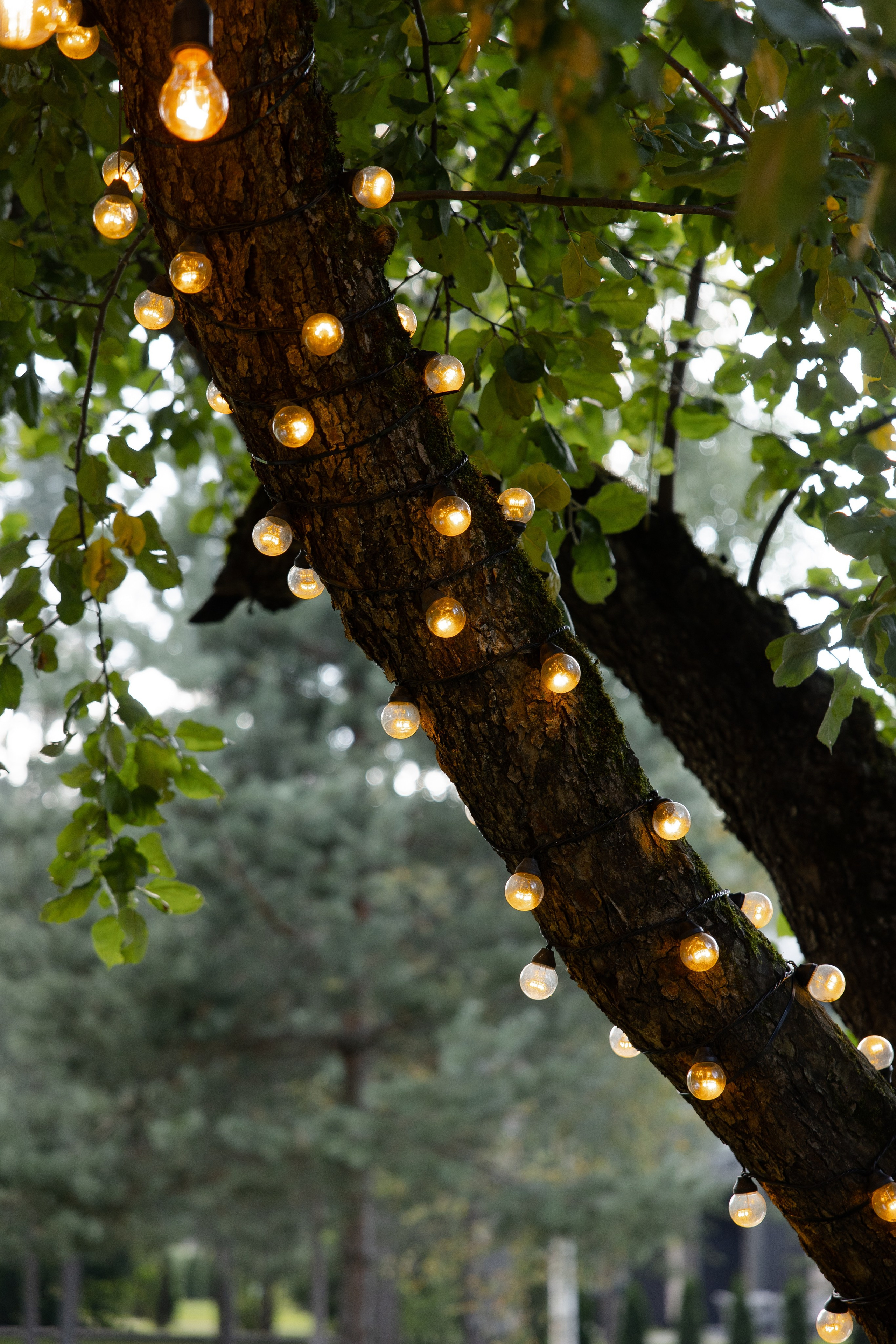 G & B. Свадебный фотограф Ефимова Ольга