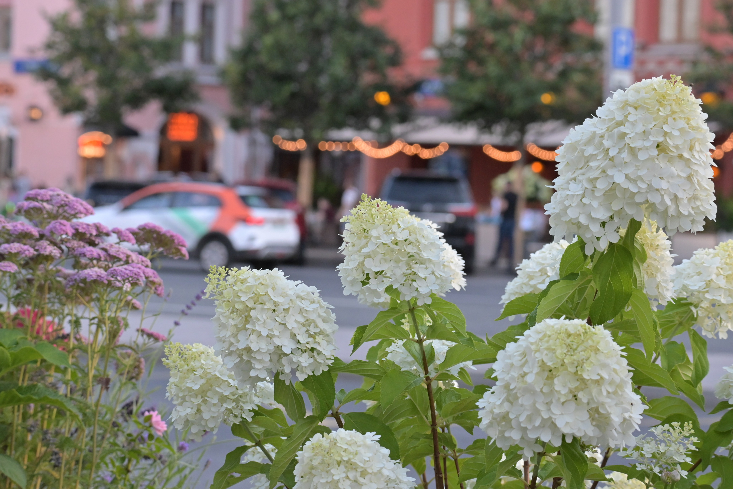 20240720 от Сретенского бульвара до площади Революции. Дмитрий Ремизов. Фотография, как хобби