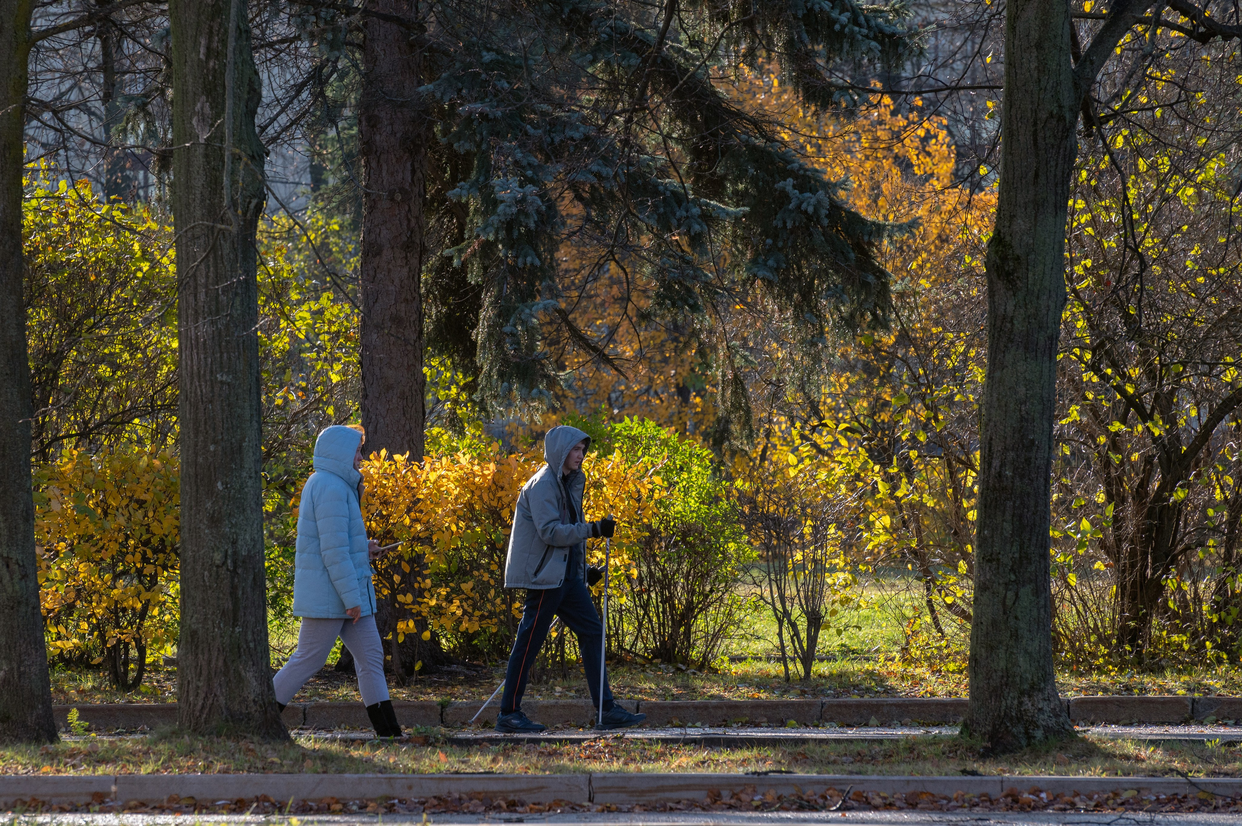 20241102 МГУ. Дмитрий Ремизов. Фотография, как хобби