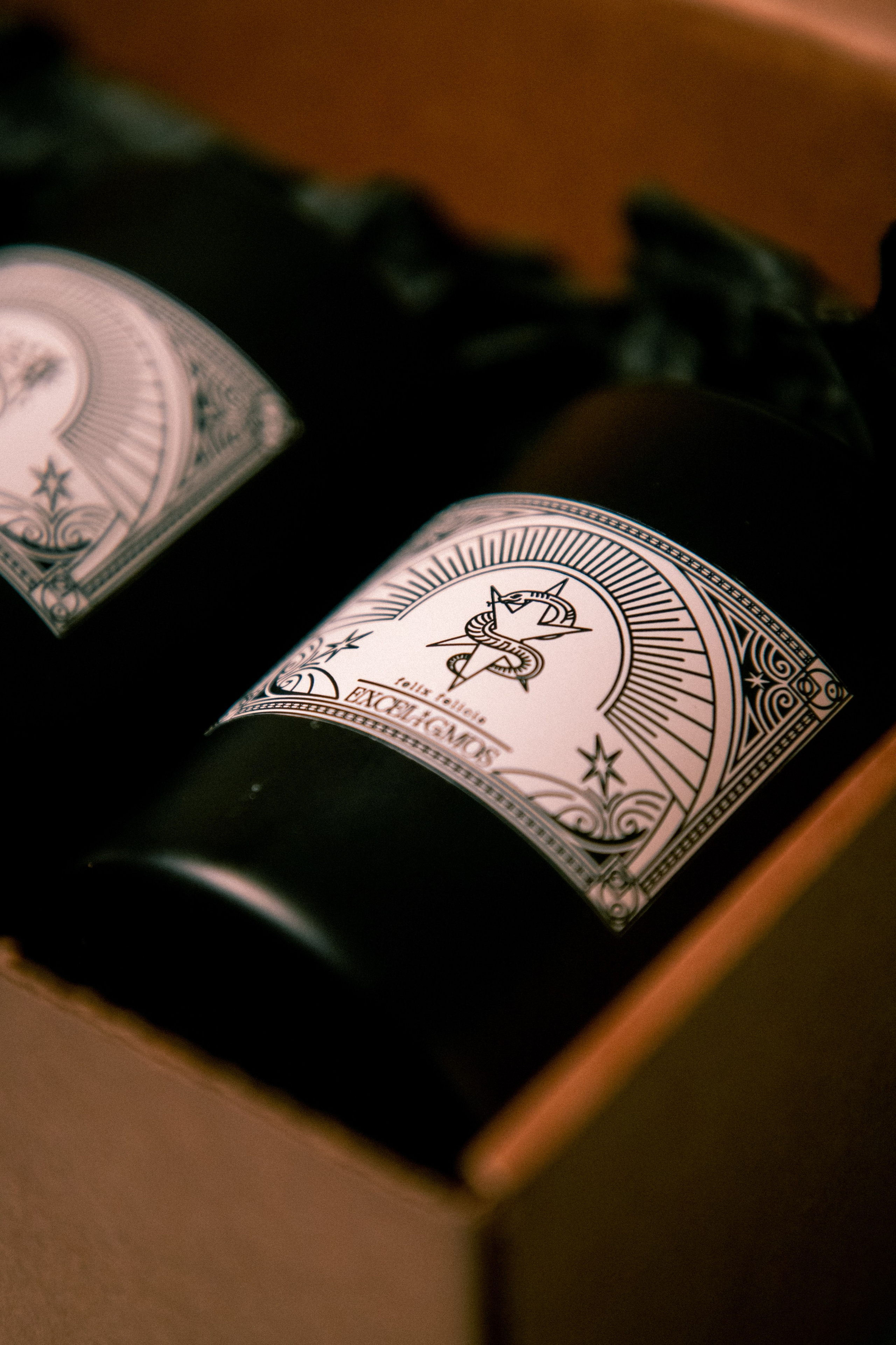 Exceligmos. Фотограф Анастасия Сонина